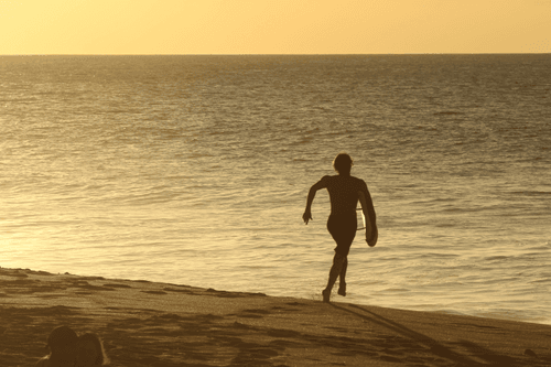Run to The Sea.