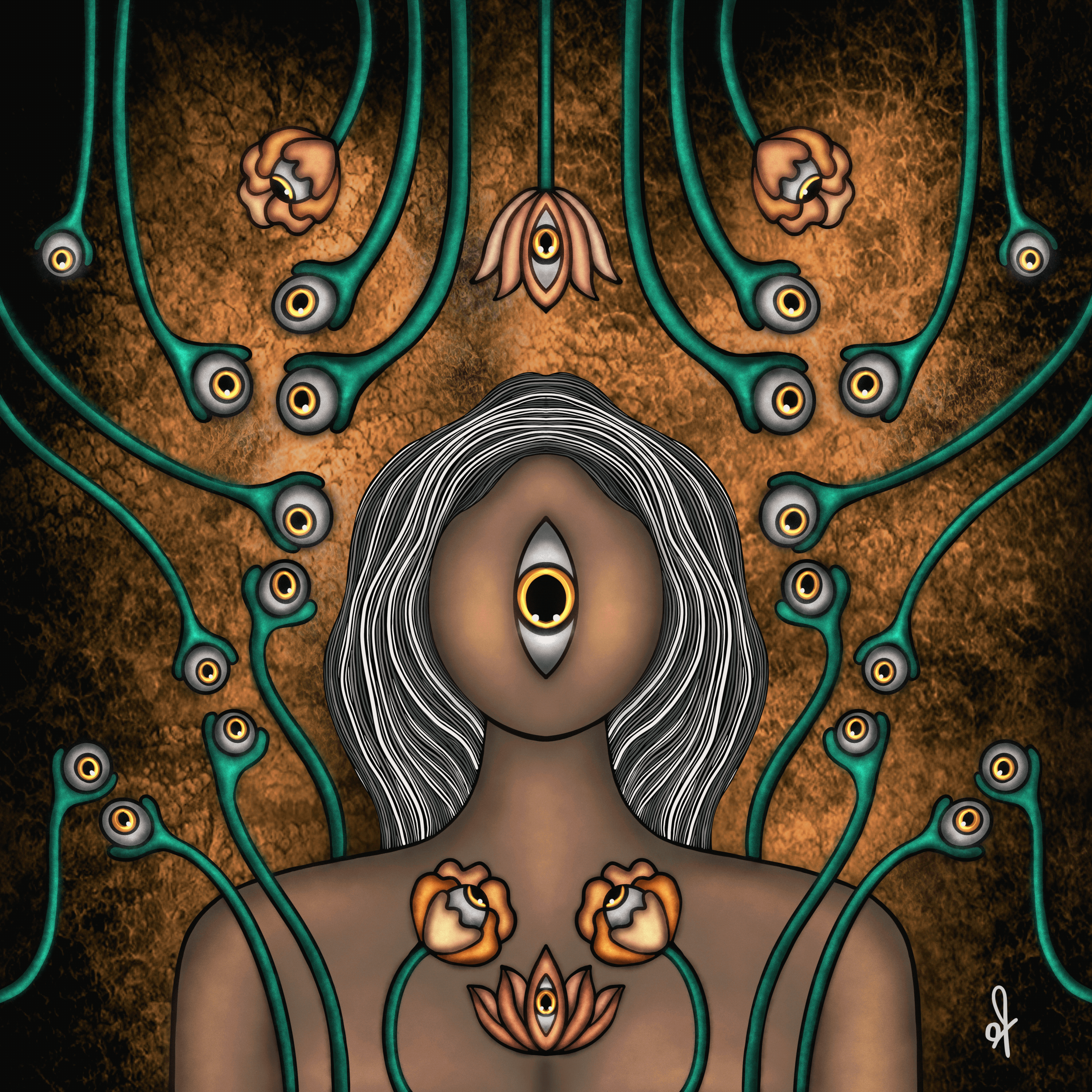 The minds eyes