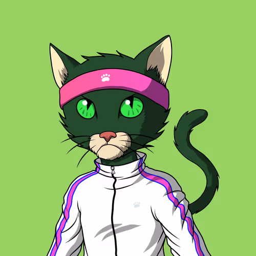 Master Cats #1242