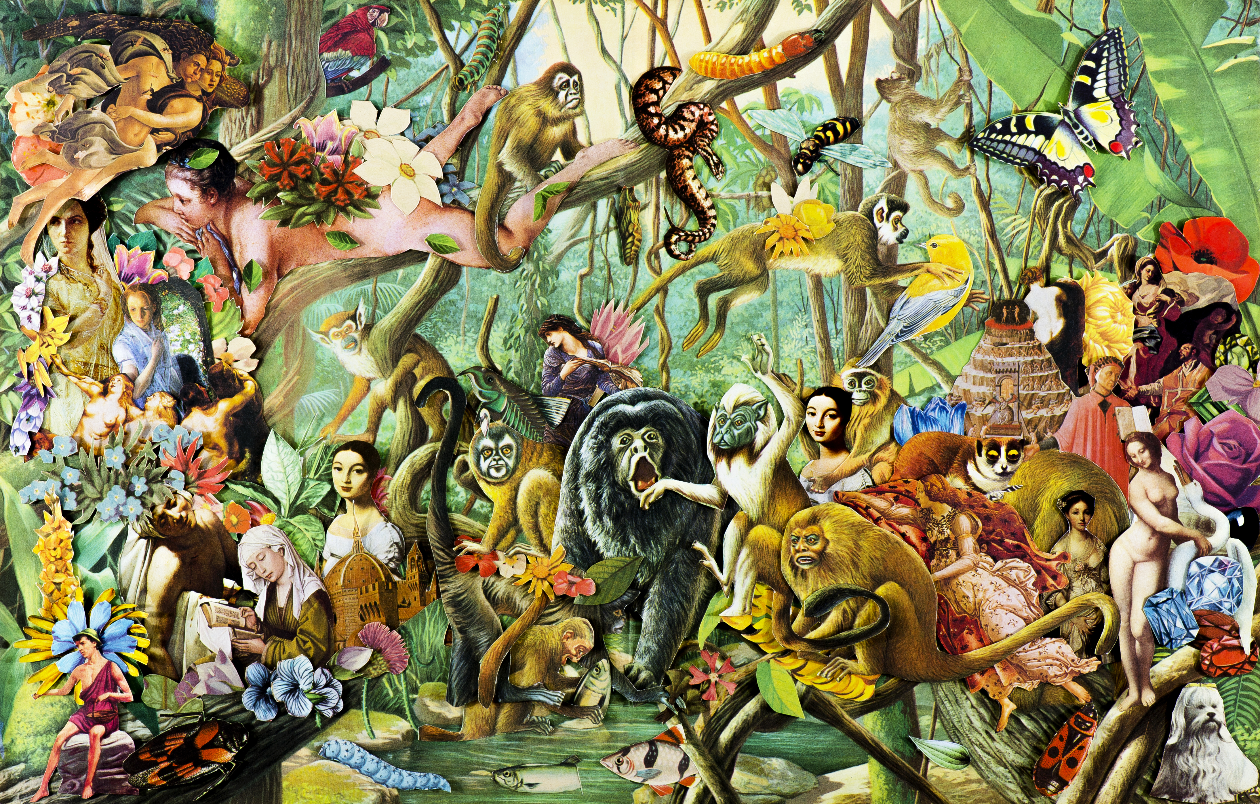 Madre Selva