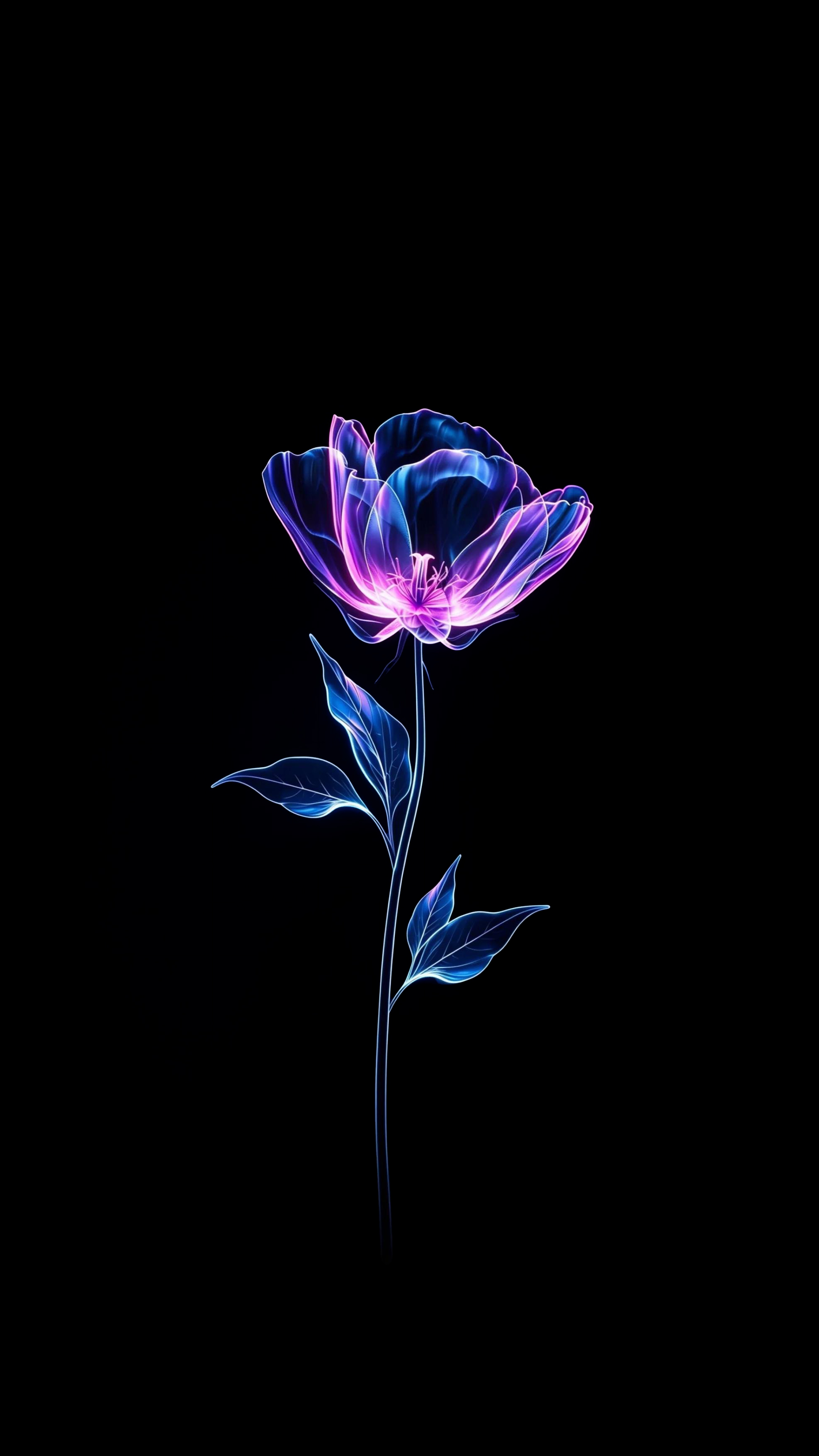 Blossom