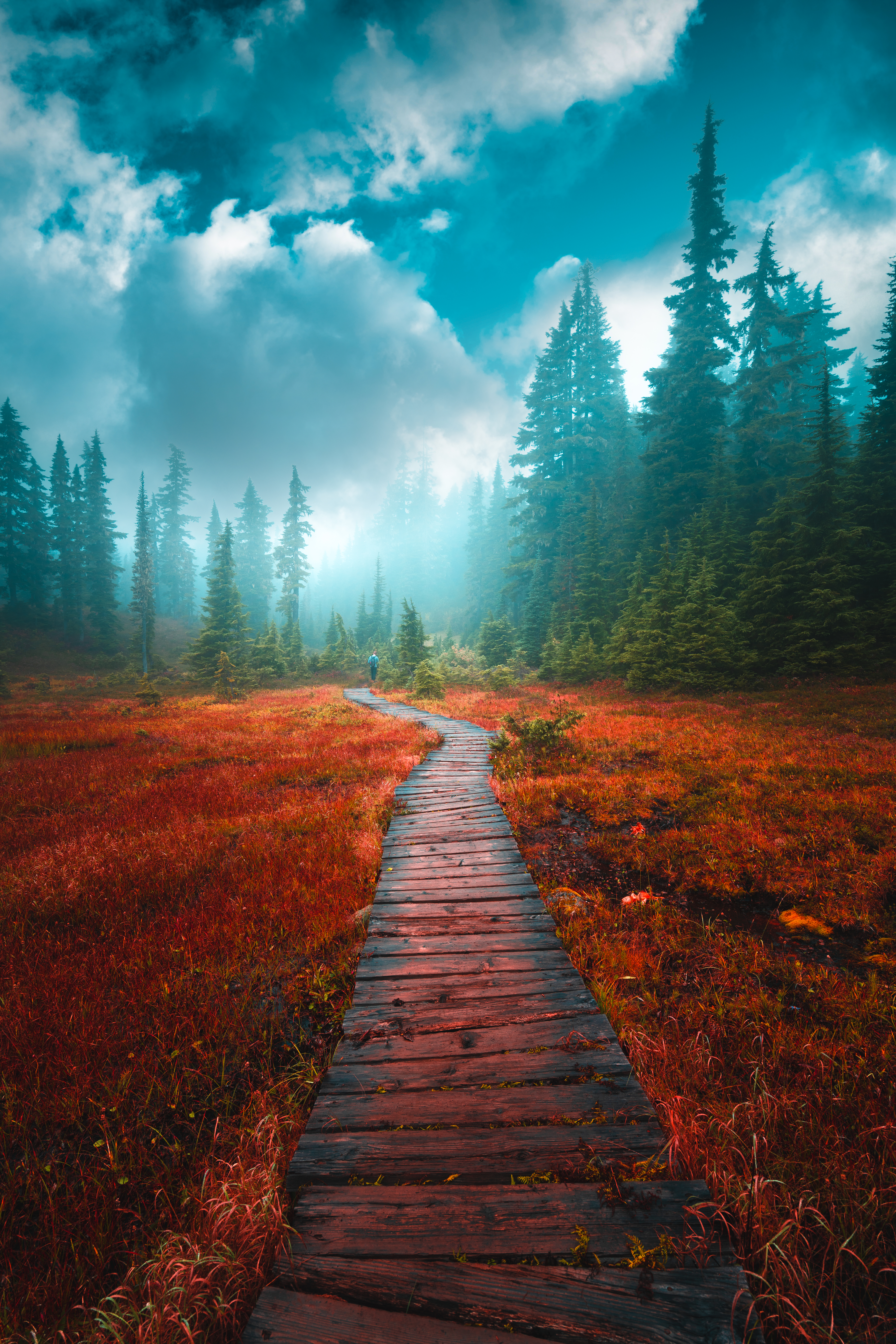 The Alpine Atmosphere