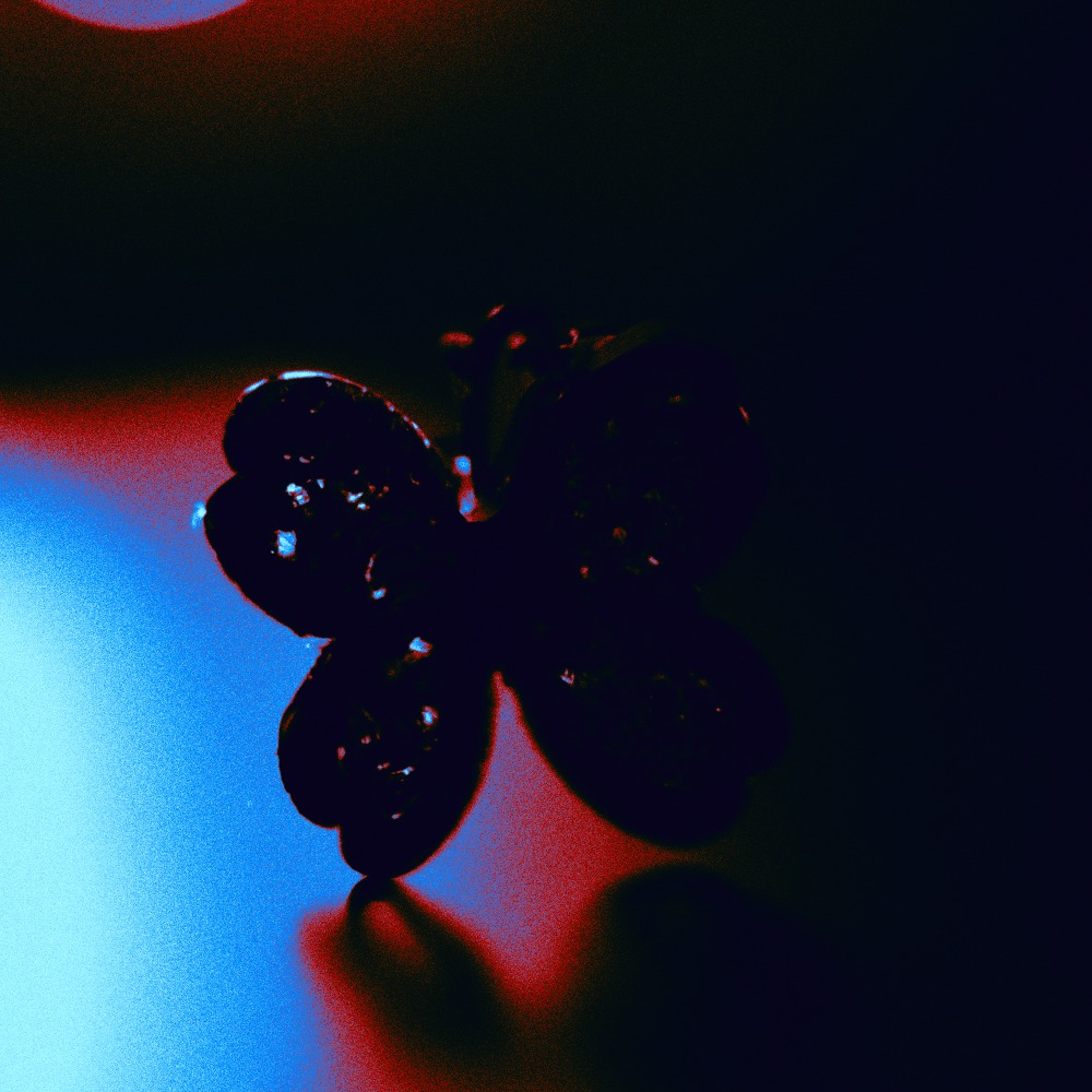 MOLLIFY #23