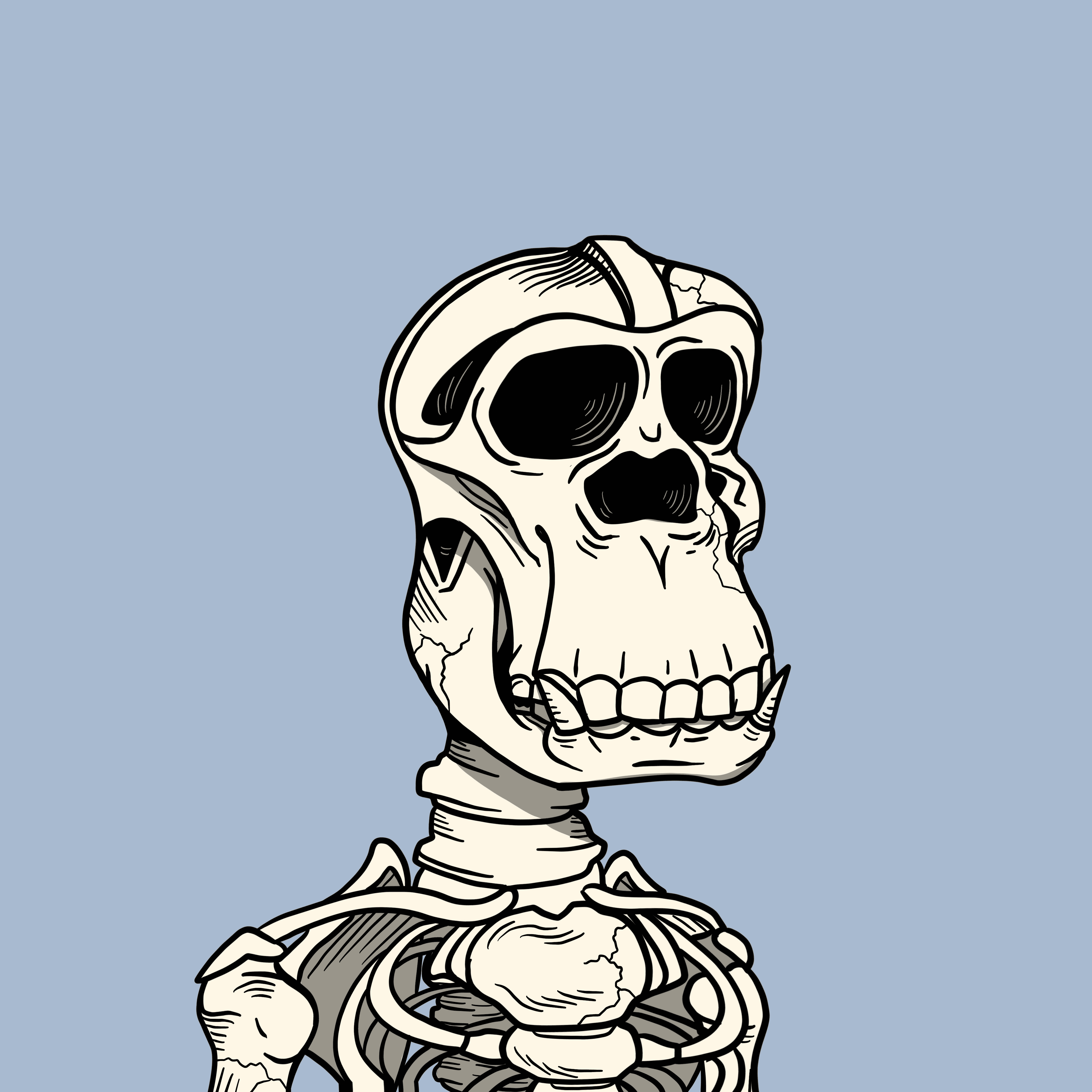 Skeleton BAYC #1215