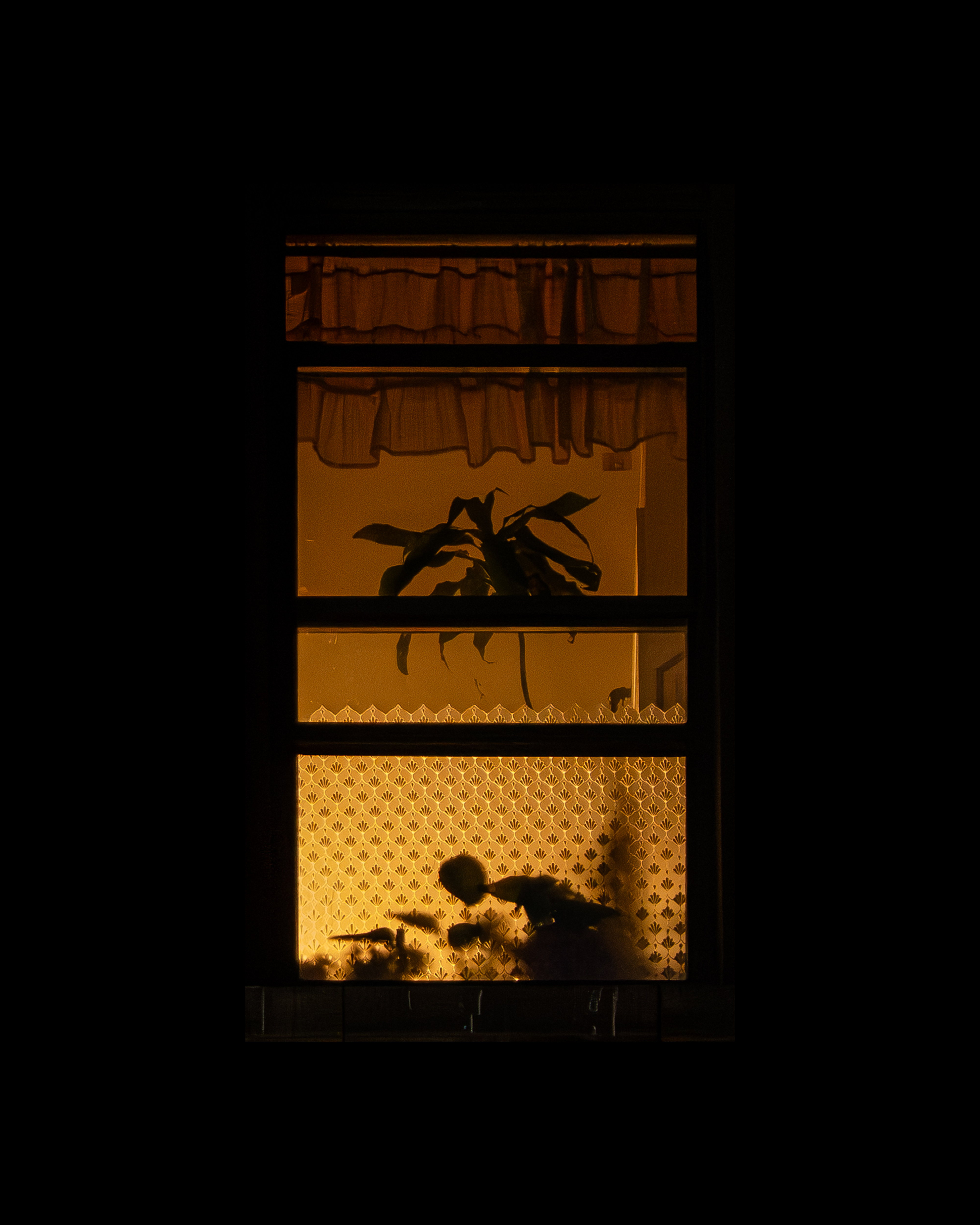 WINDOW 14