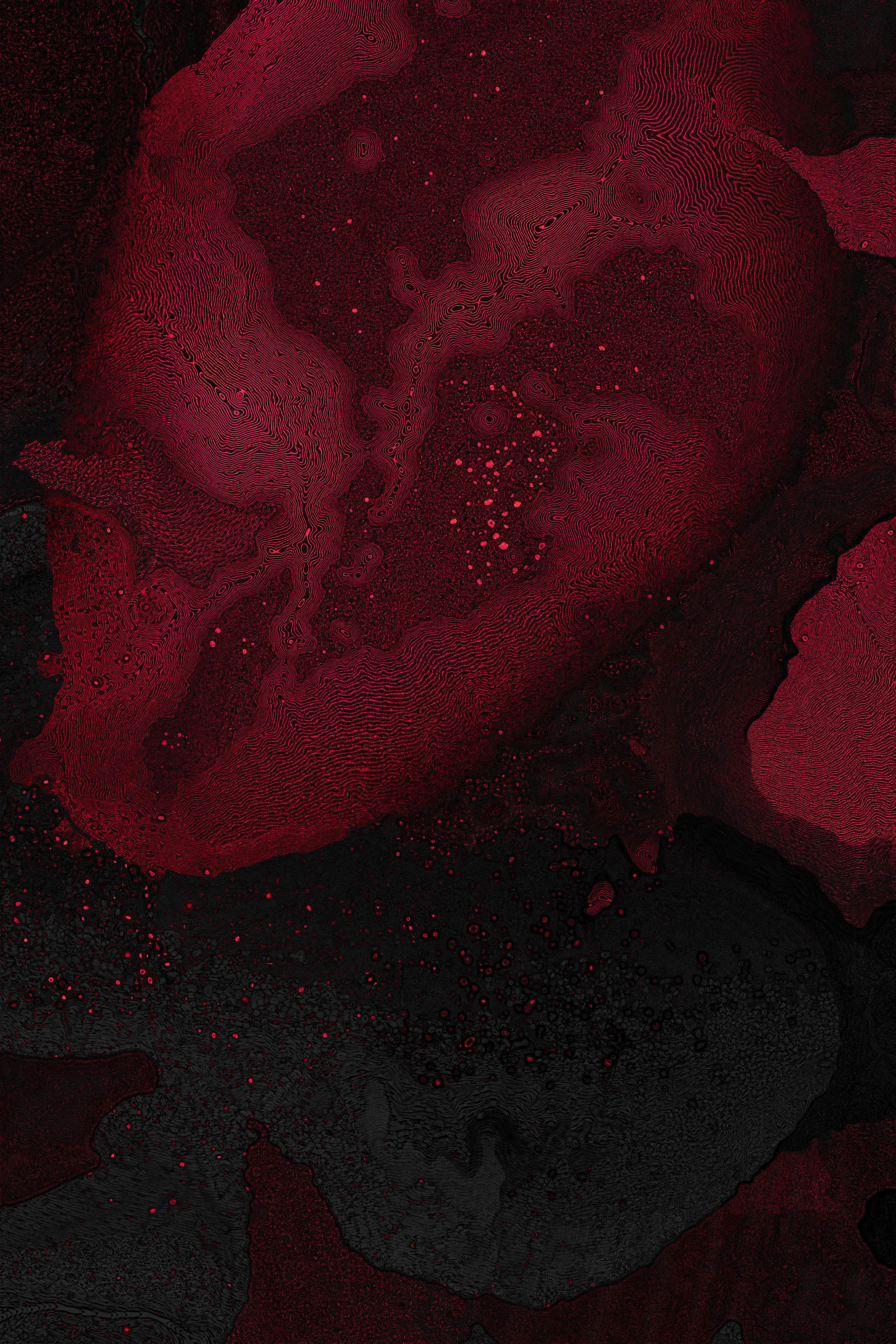 Dactylogram #63