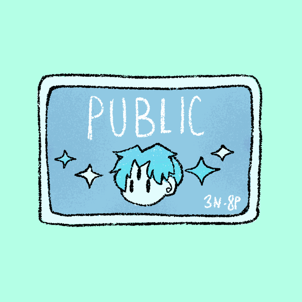 3N-8P PUBLIC PASS
