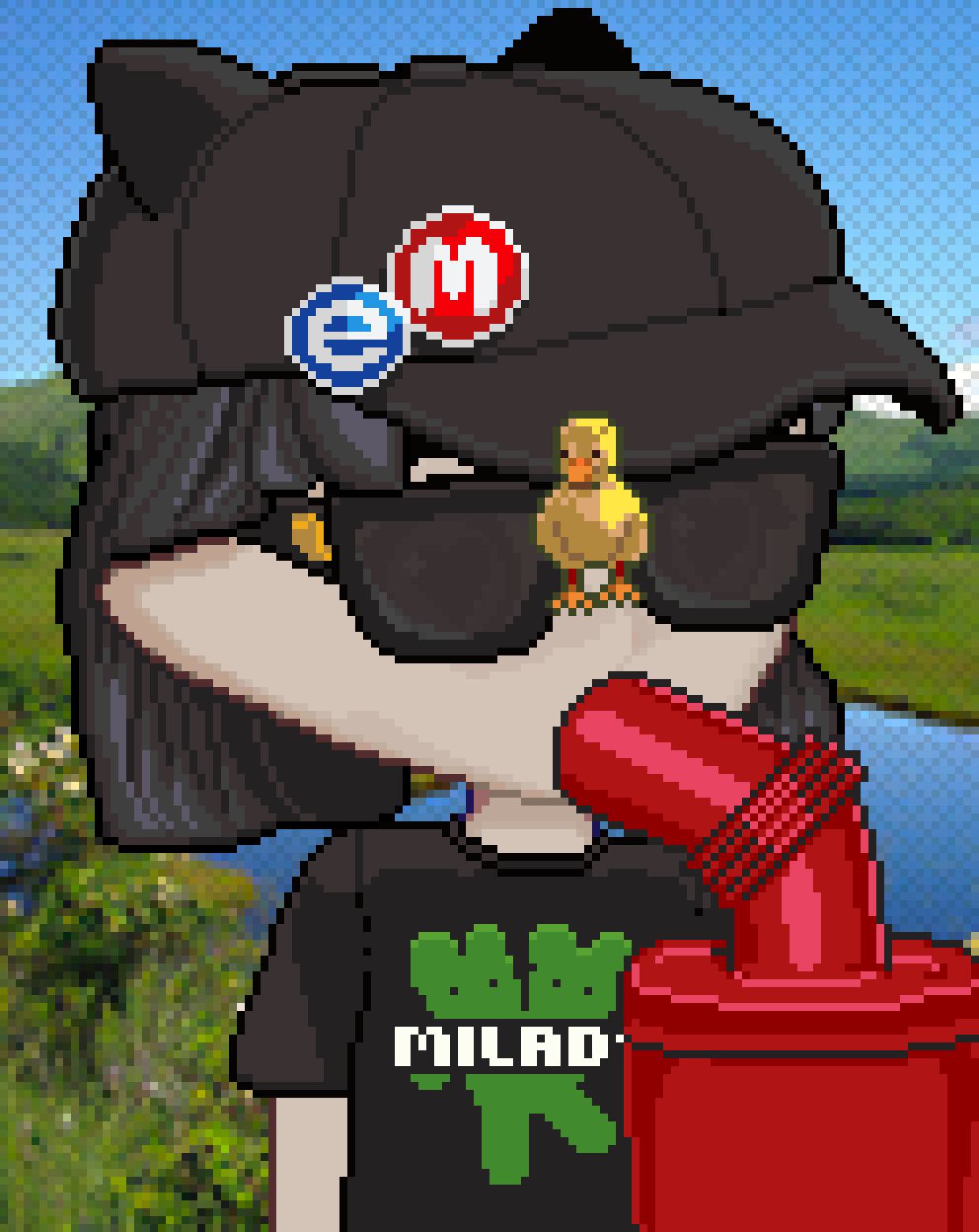 Pixelady #1157