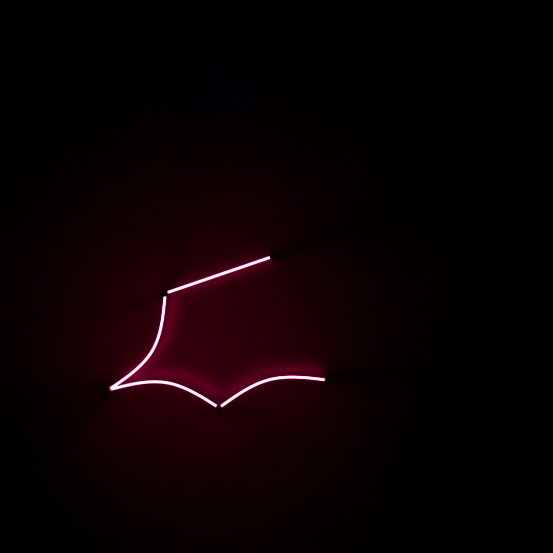 Neon Light #0917