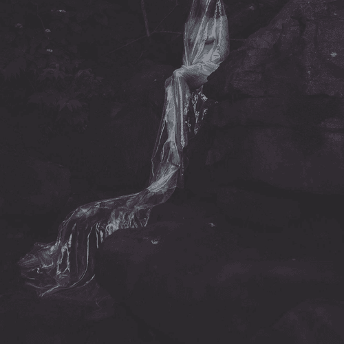 Photo #48