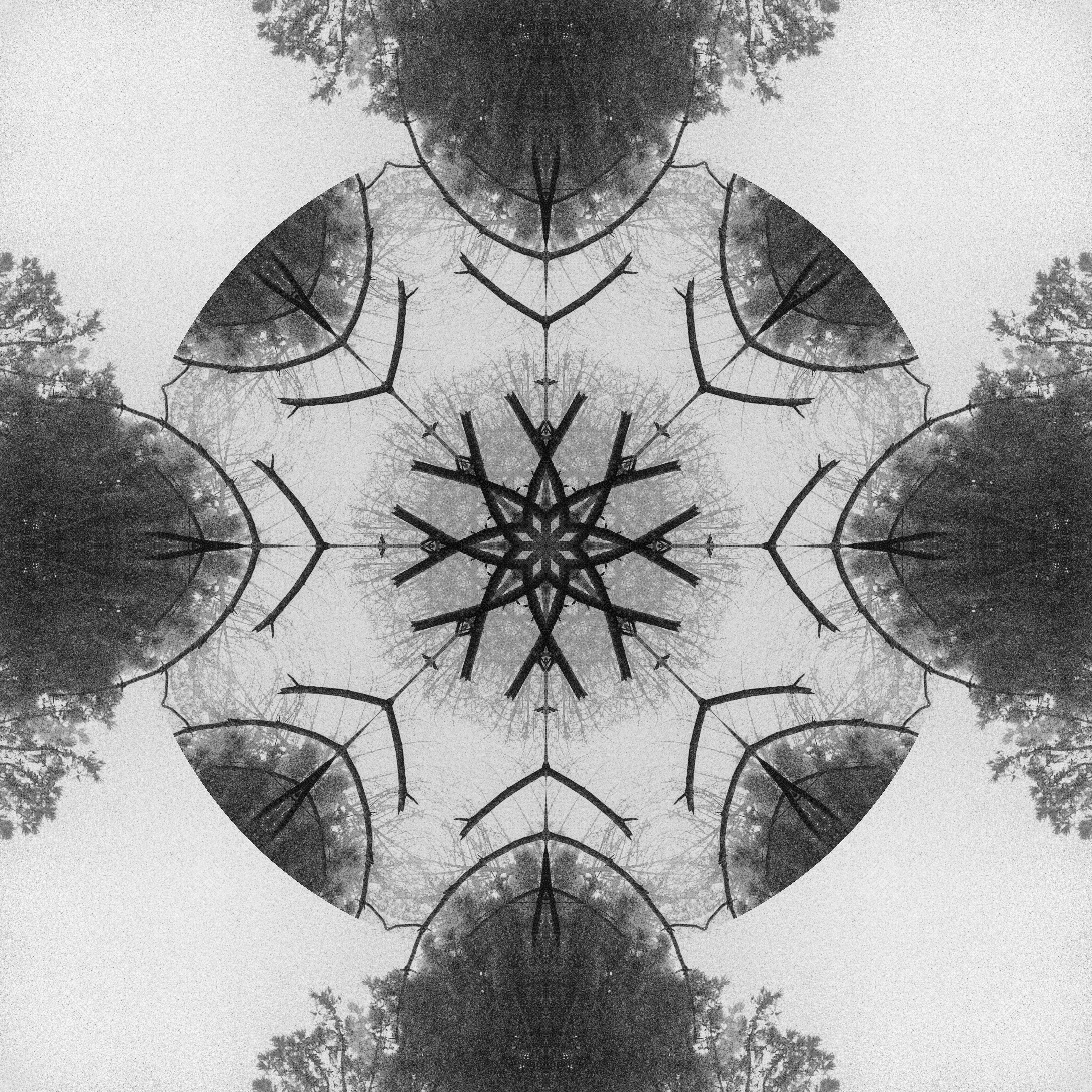 Flat Circles #2
