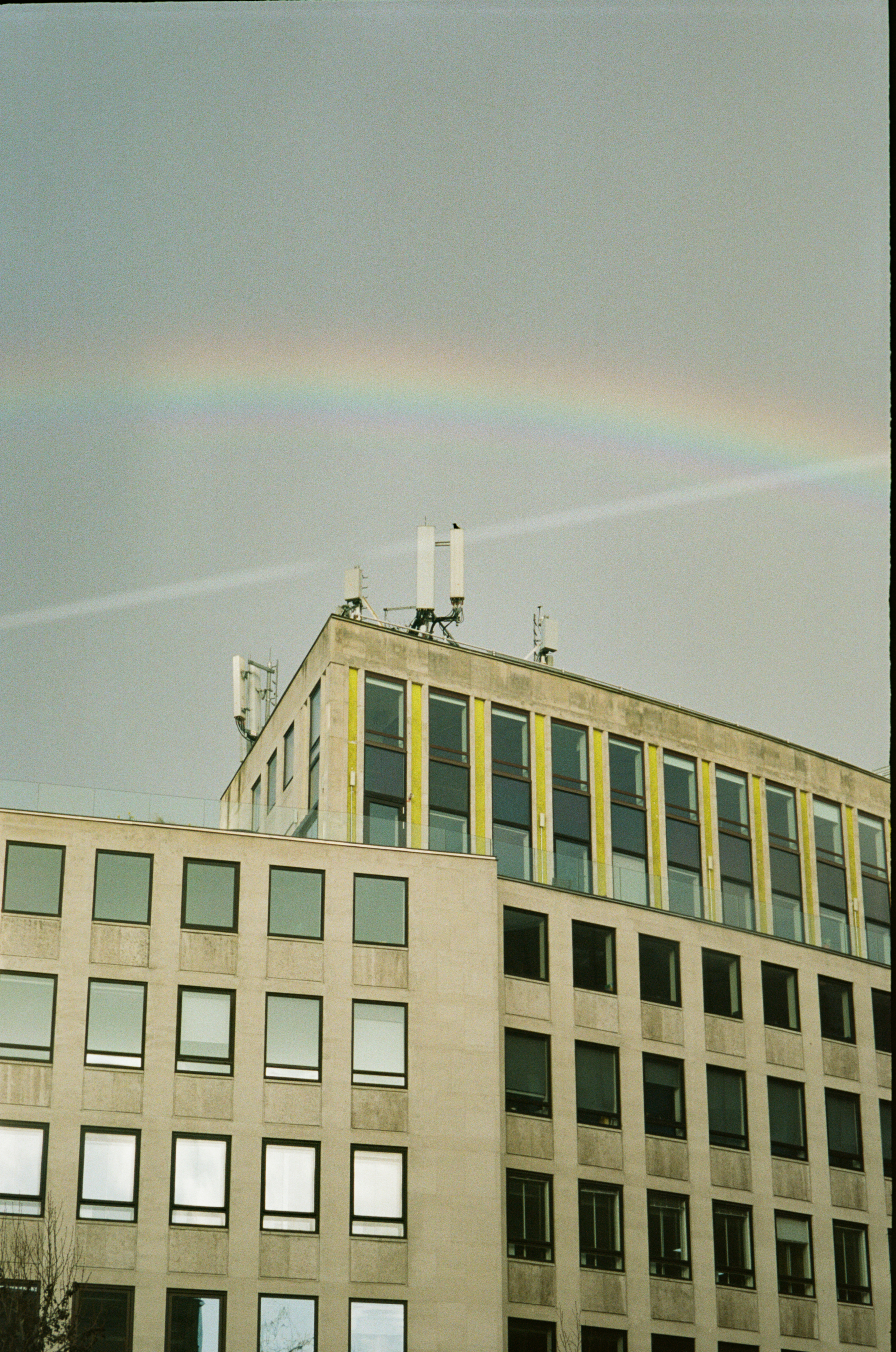 Rainbow