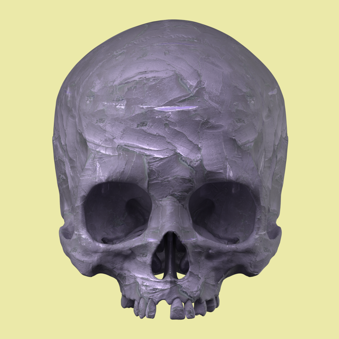 Skulpt 12
