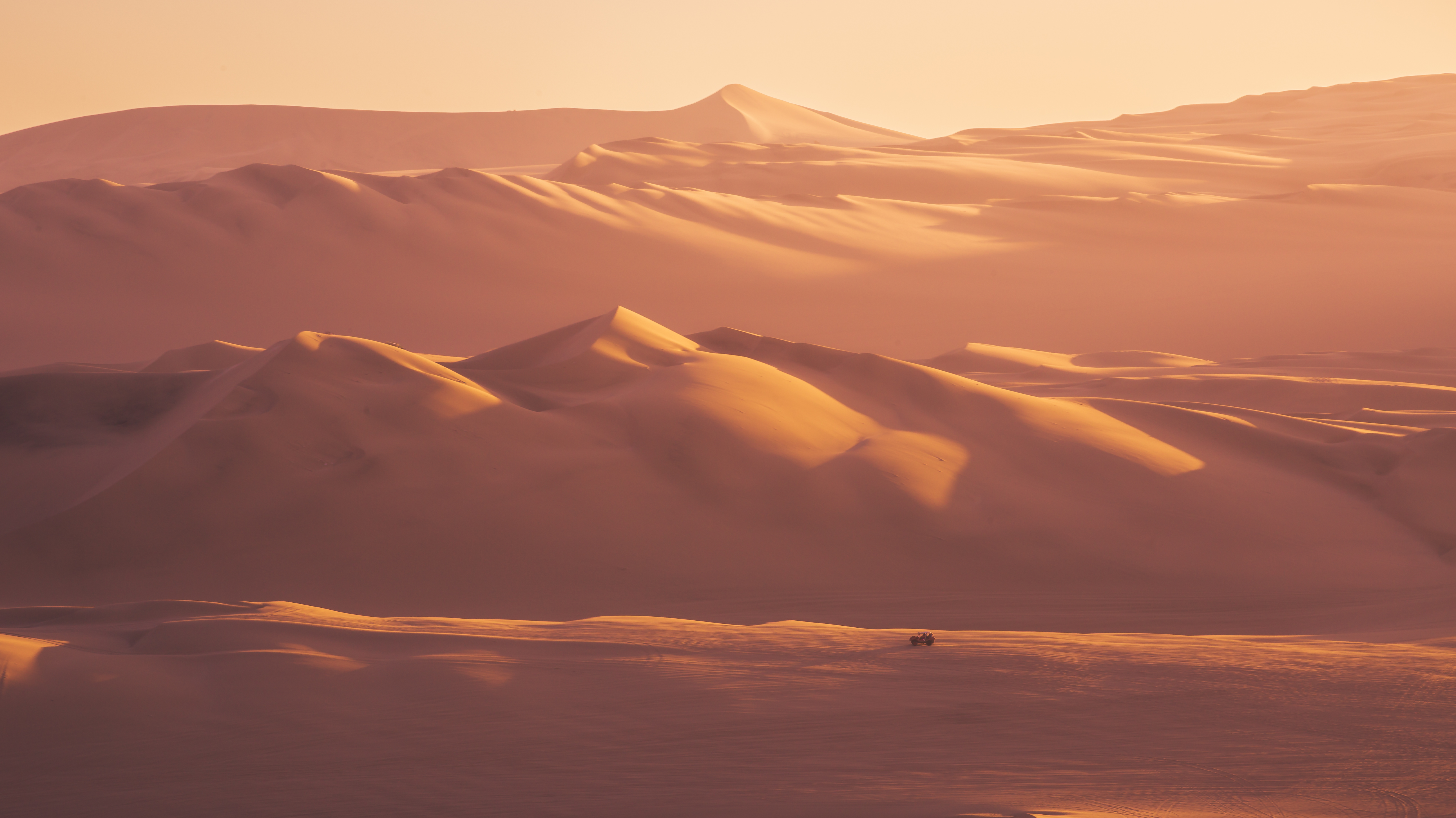 Desert Kingdom