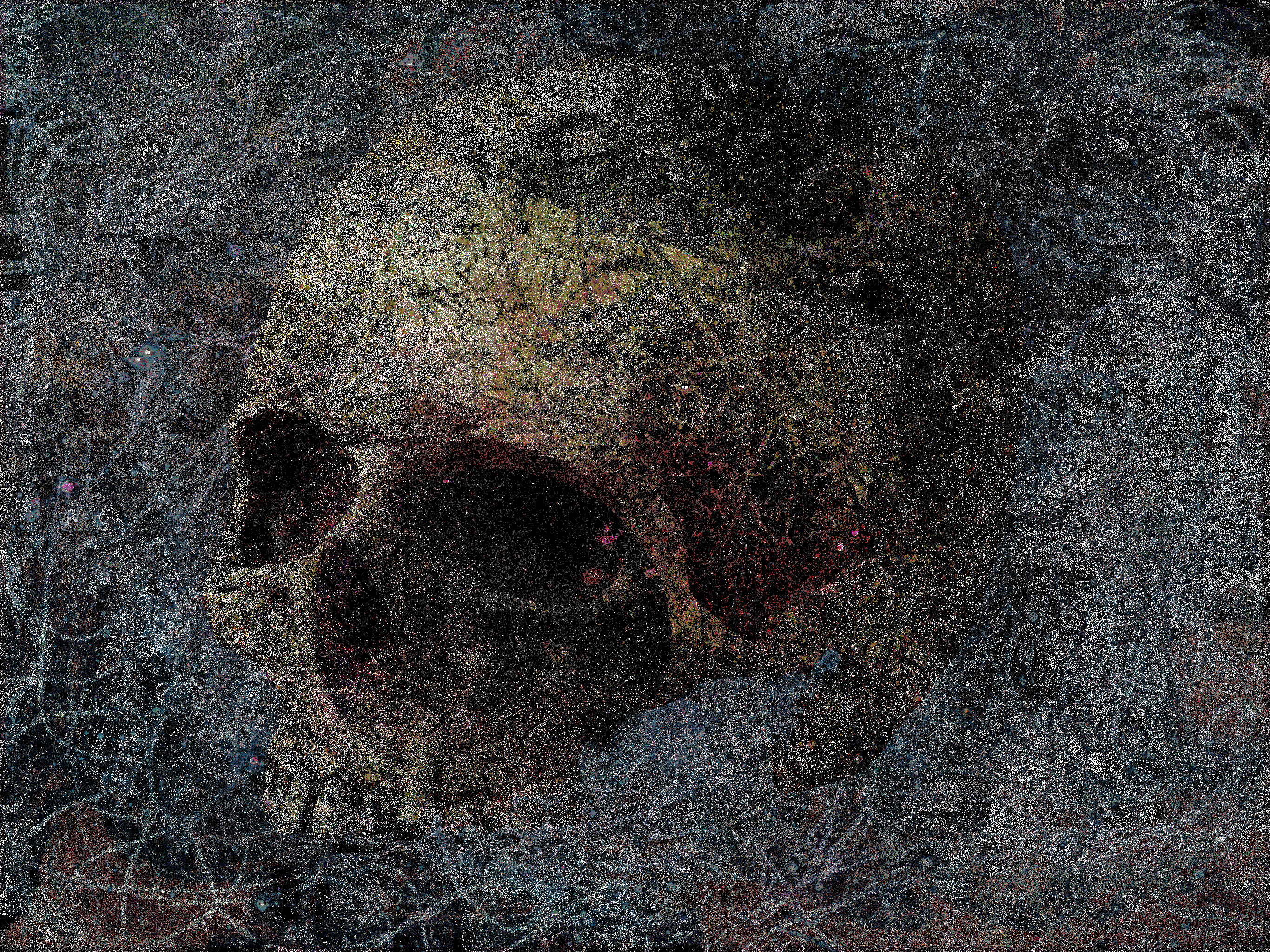 eventual self portrait #5