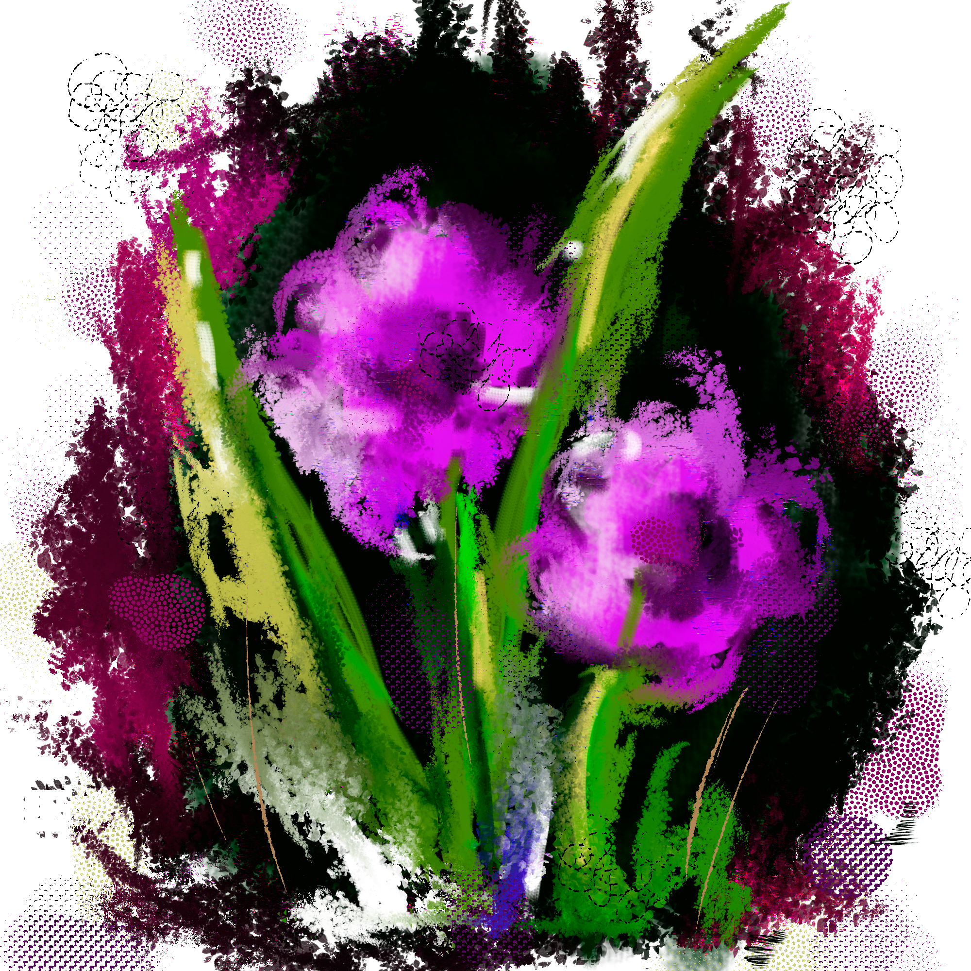 Mexican Petunias