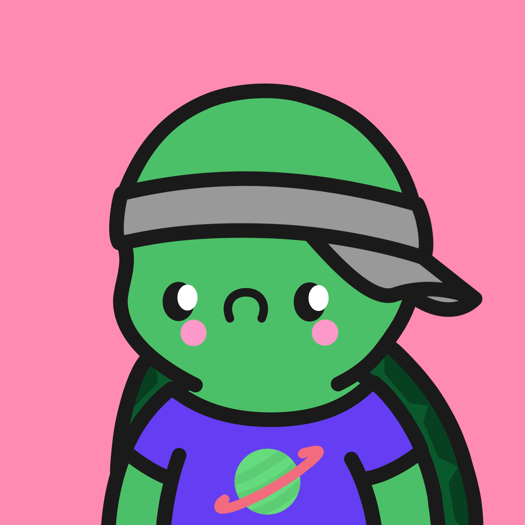 Turtle Town #723