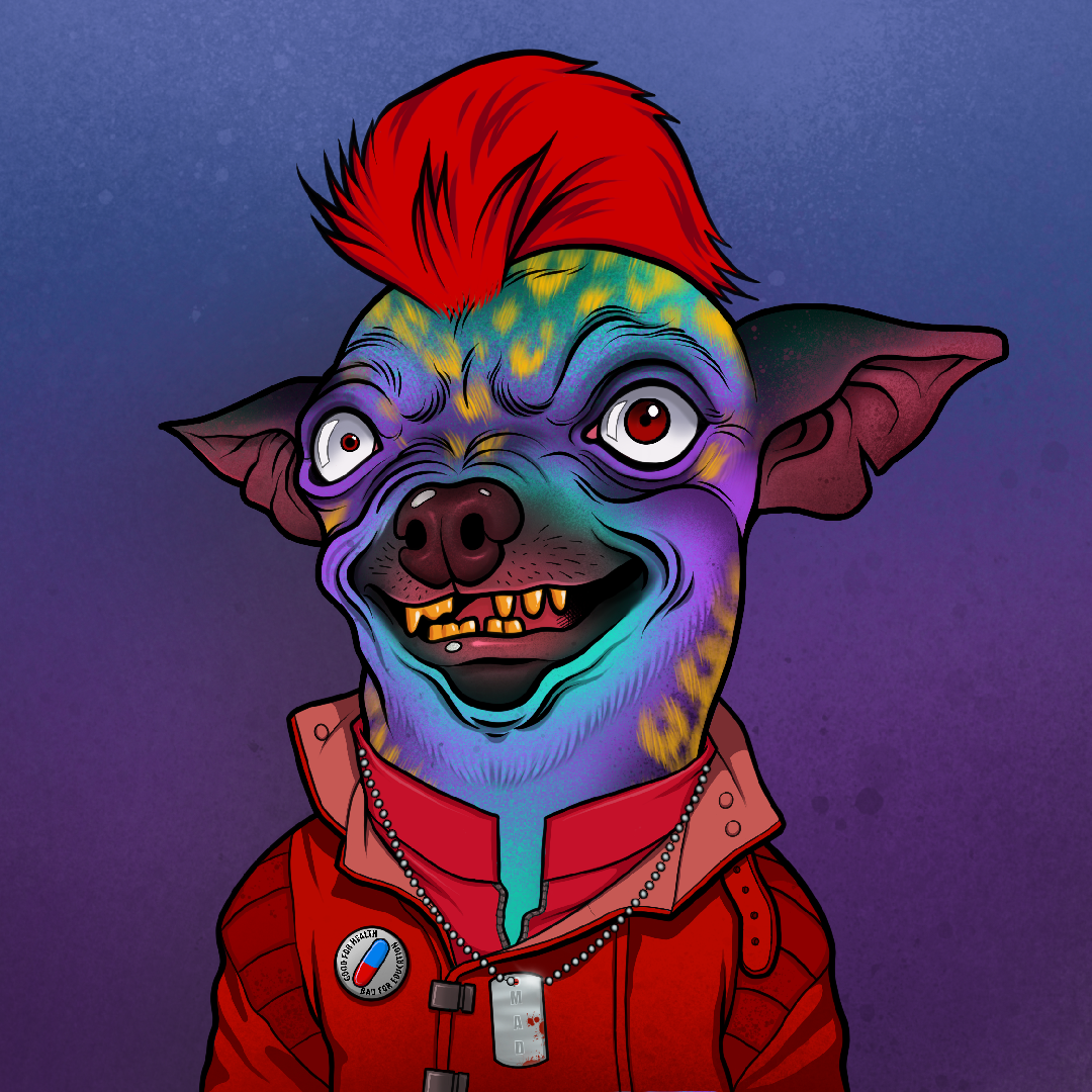 Mad Chihuahua #1308