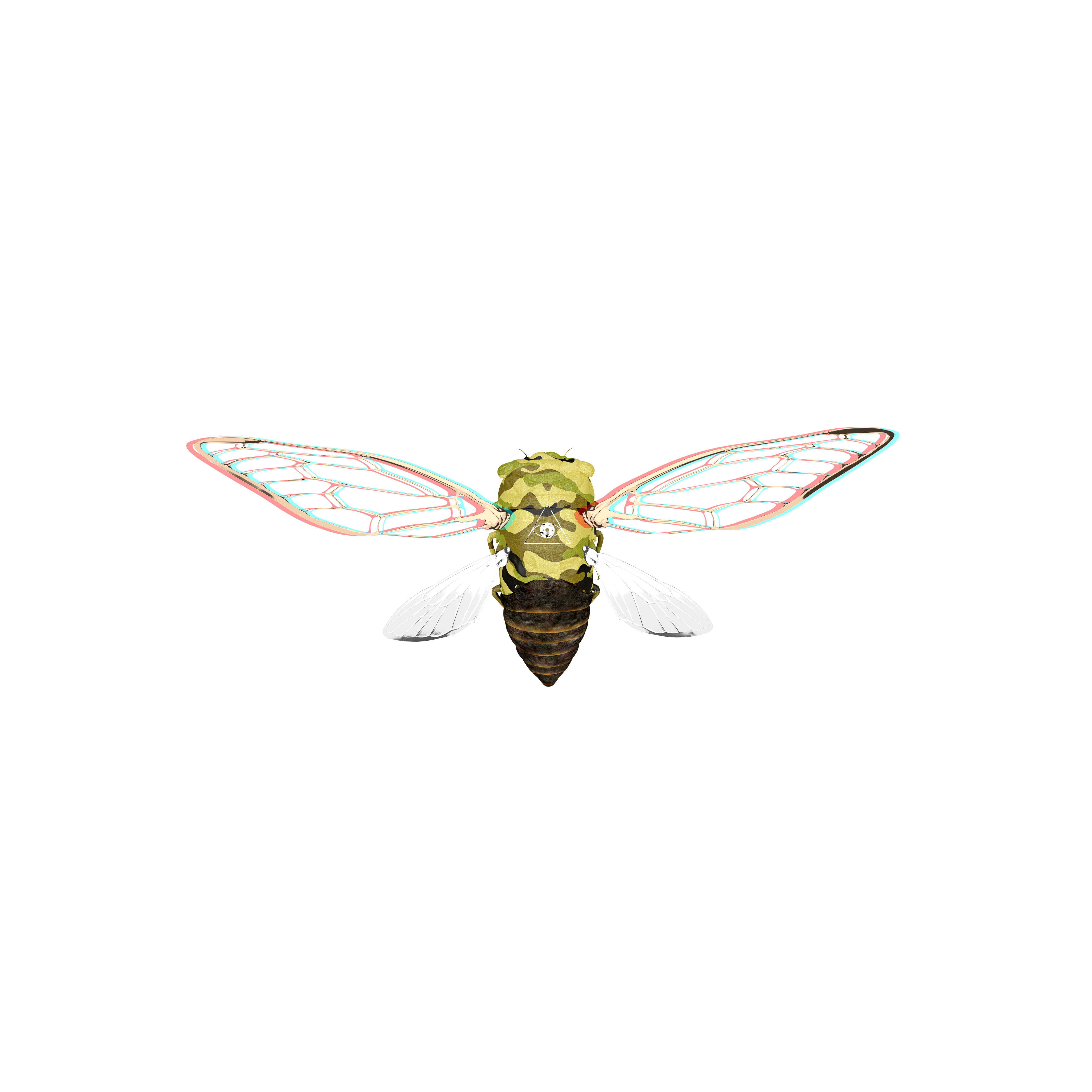 Cicadas #19