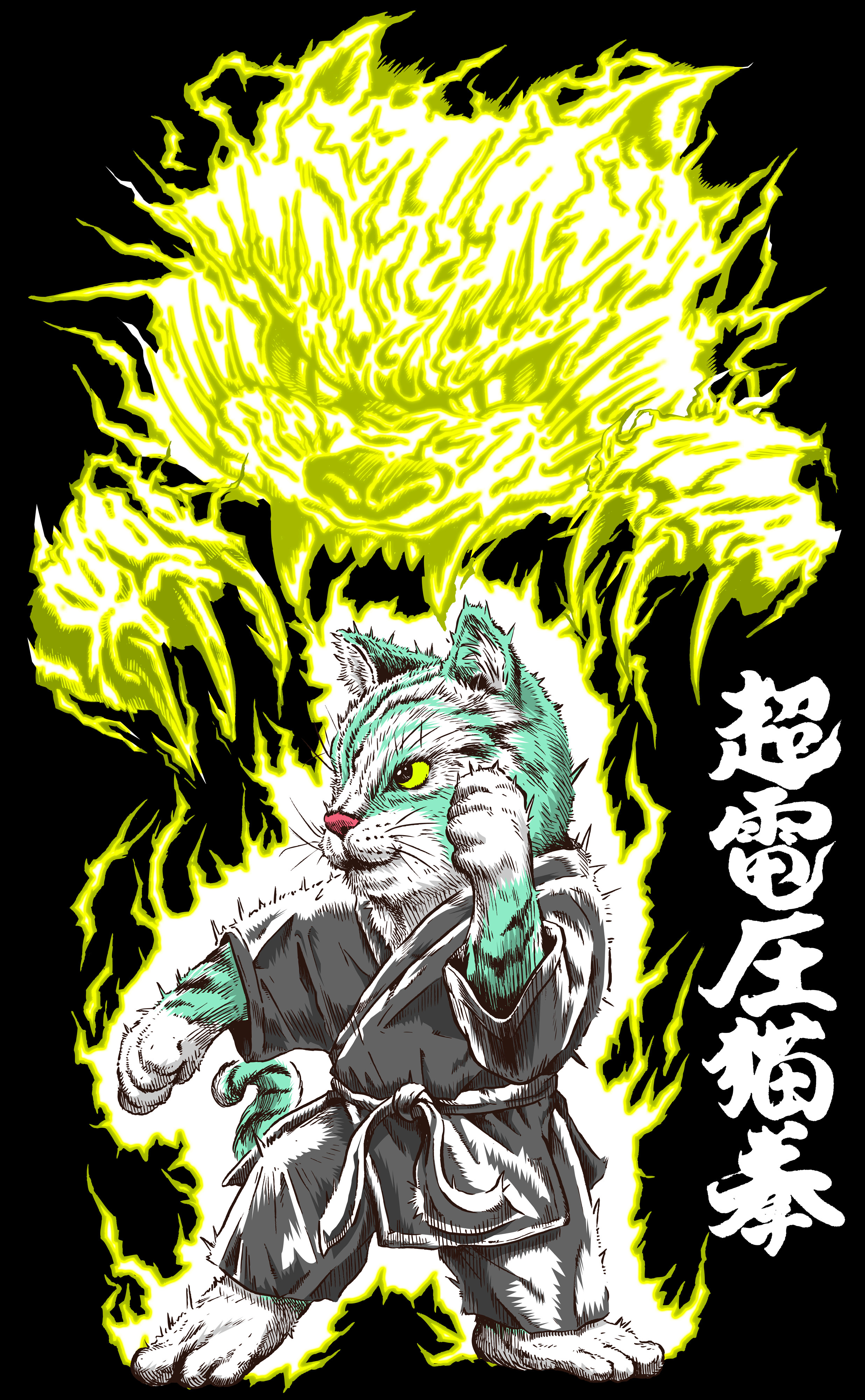 #20　超電圧猫拳