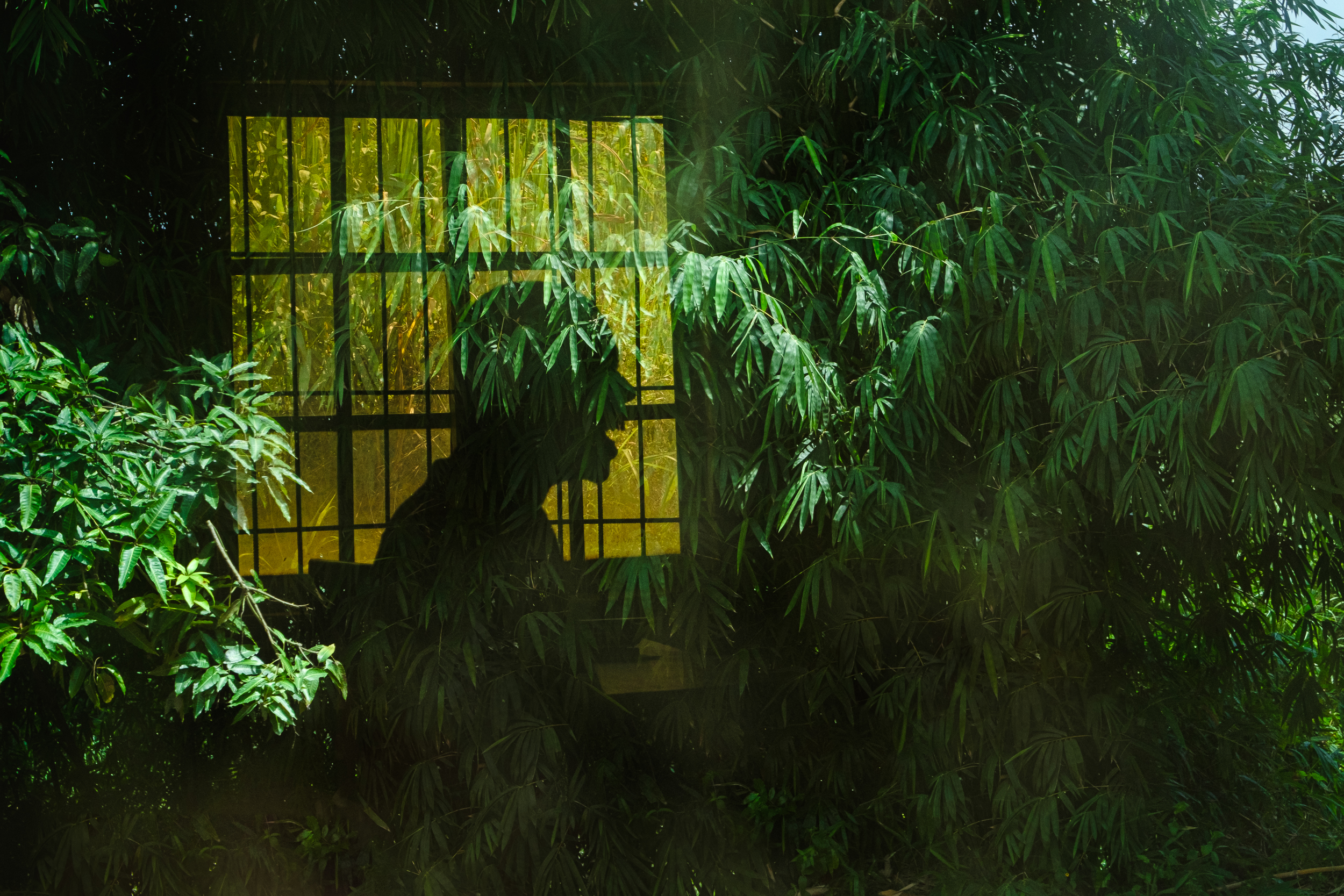 Reflection of Nature