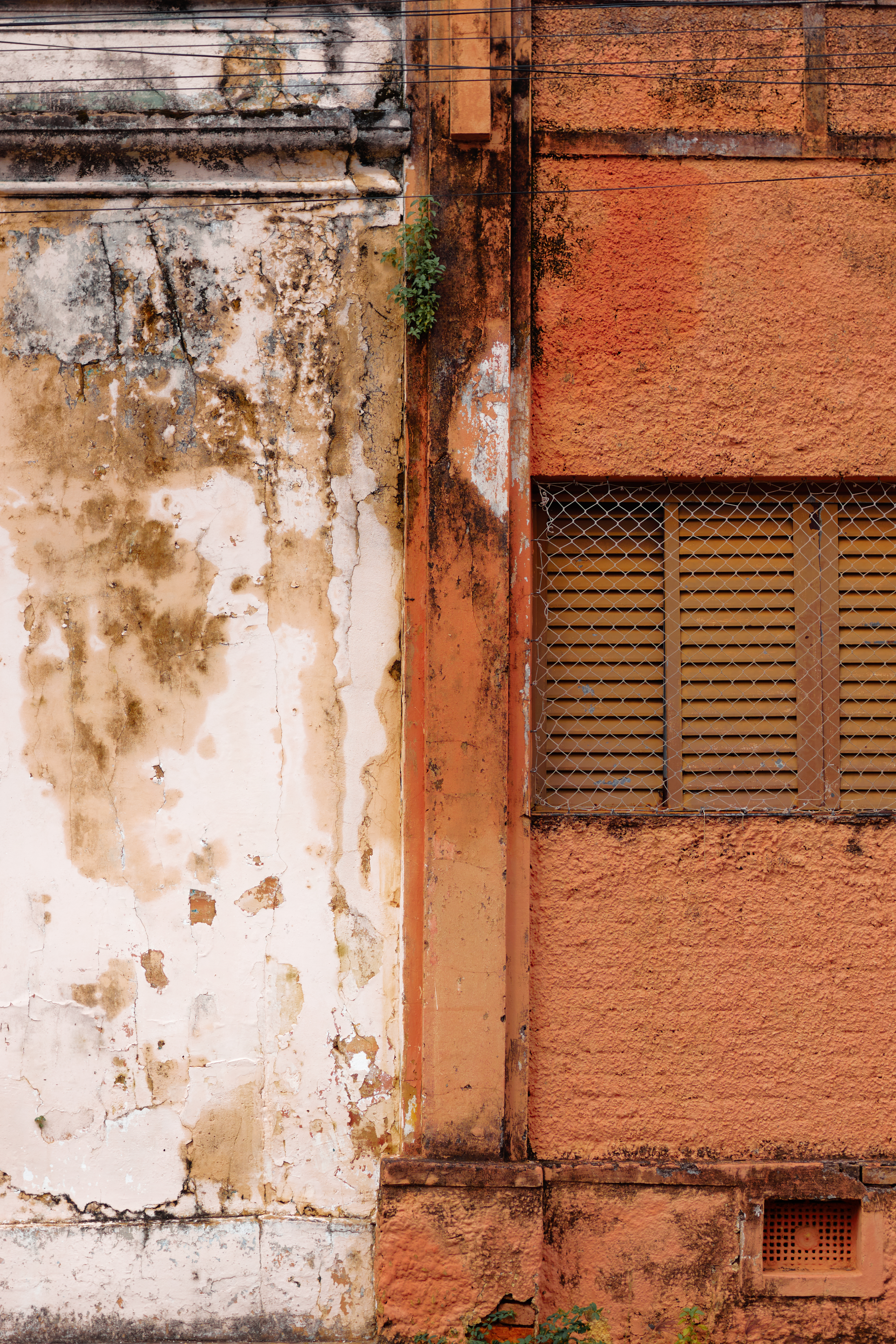Contrast #5