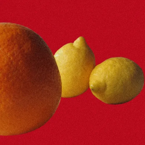 Still Life (Orange and Lemons)