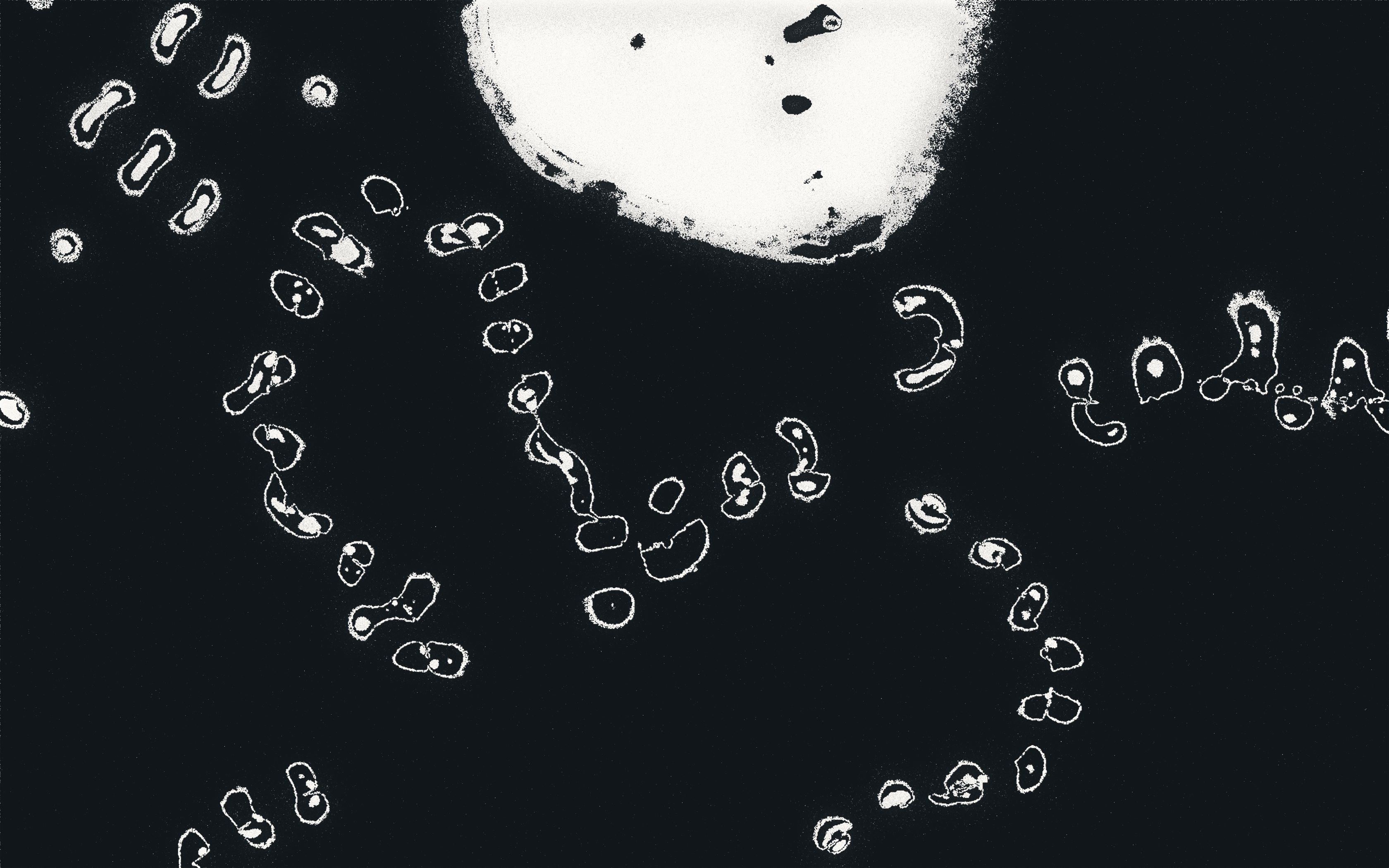 Water Studies #28