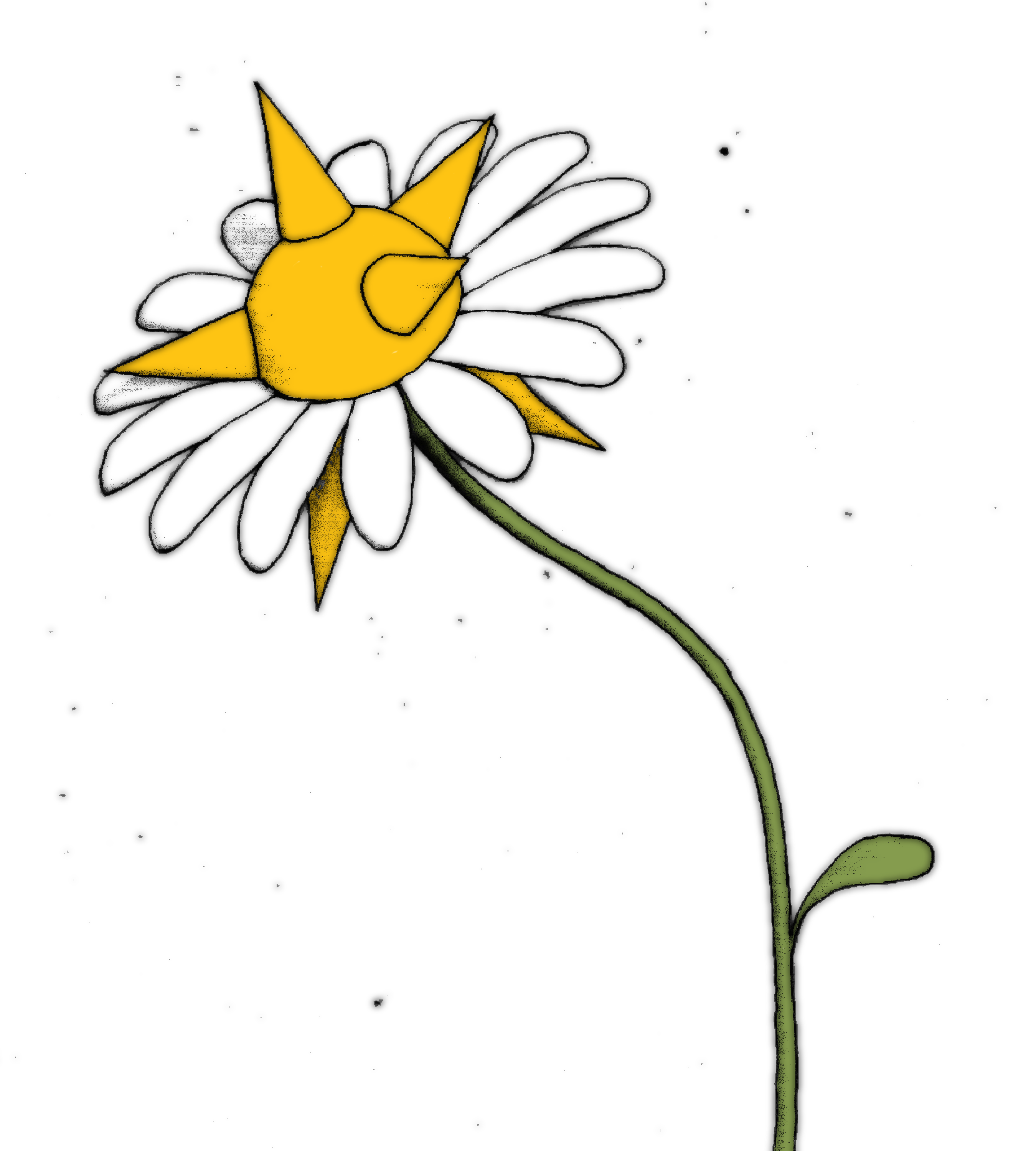 Daisy