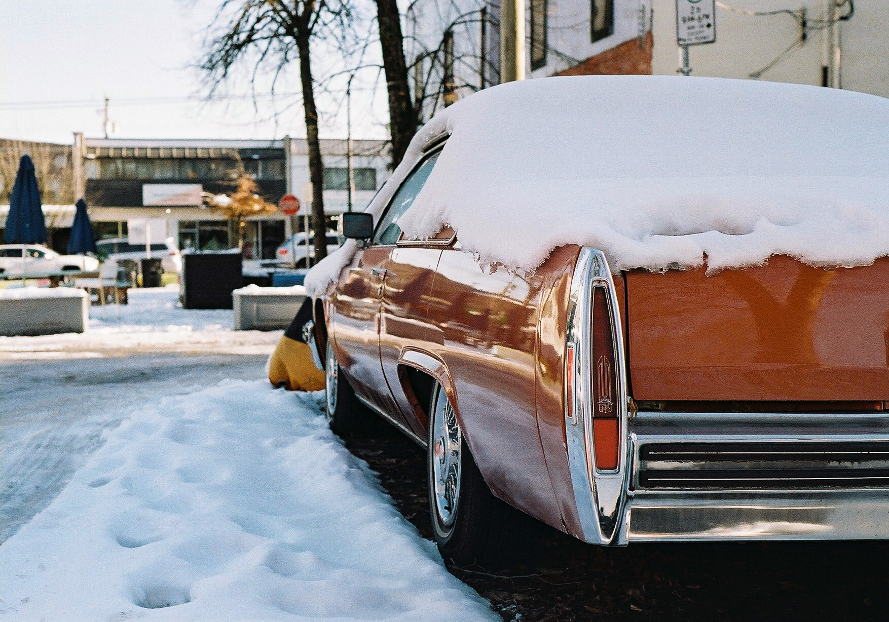 Perennial Parking