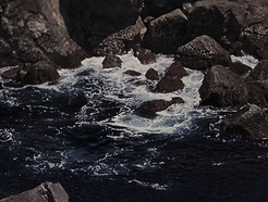 WAVES