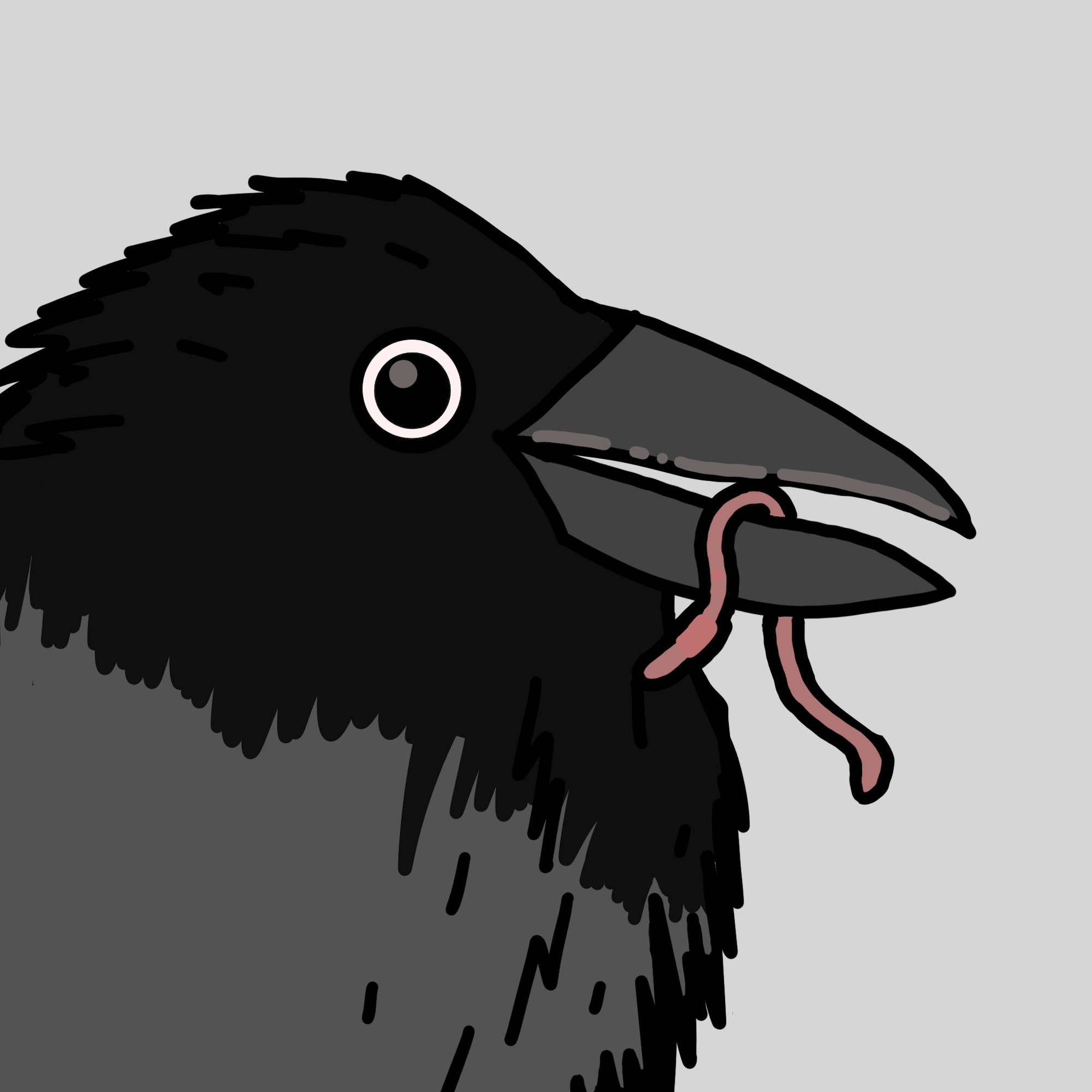 Crow Friends #993