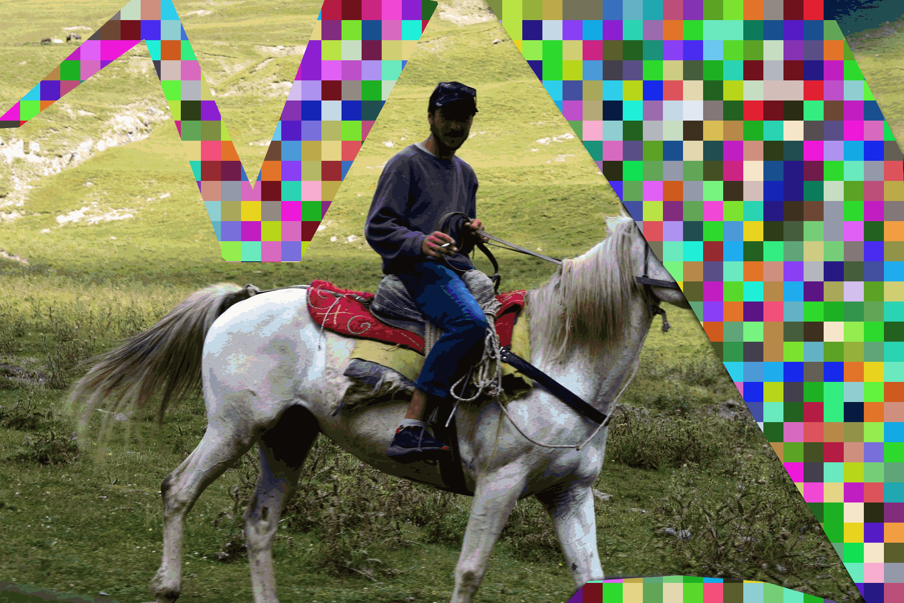 Pirikiti rider X