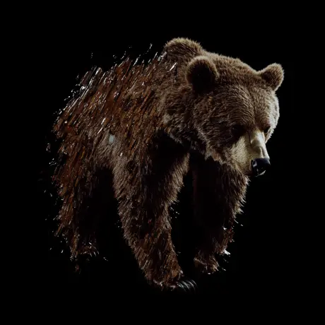 bear #3589
