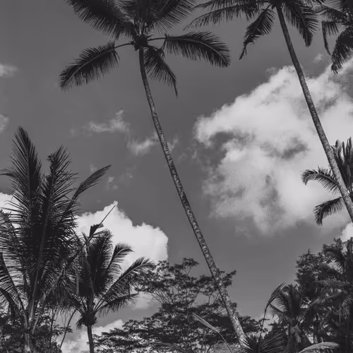 Bali in Black & White #6