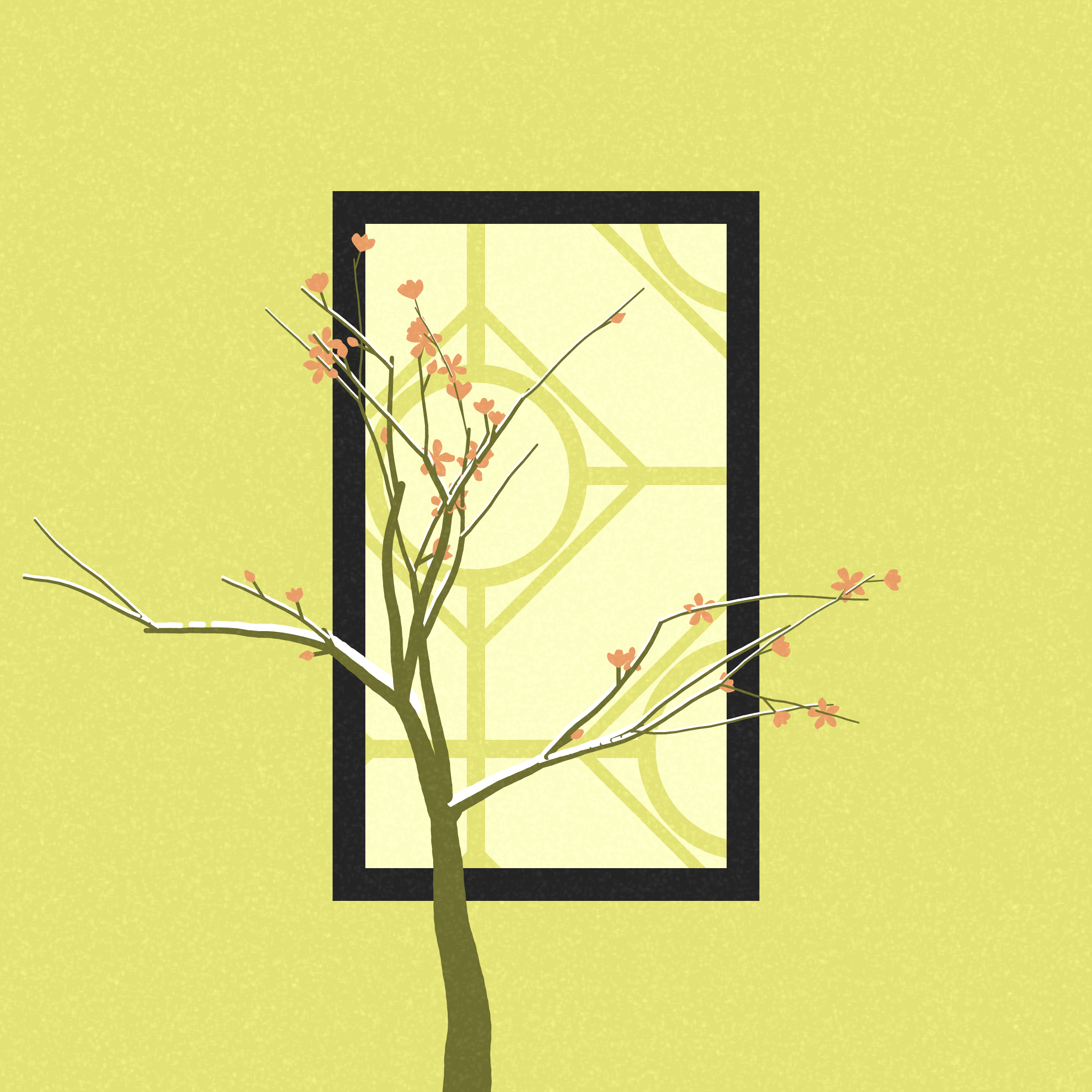 Through the Window #111
