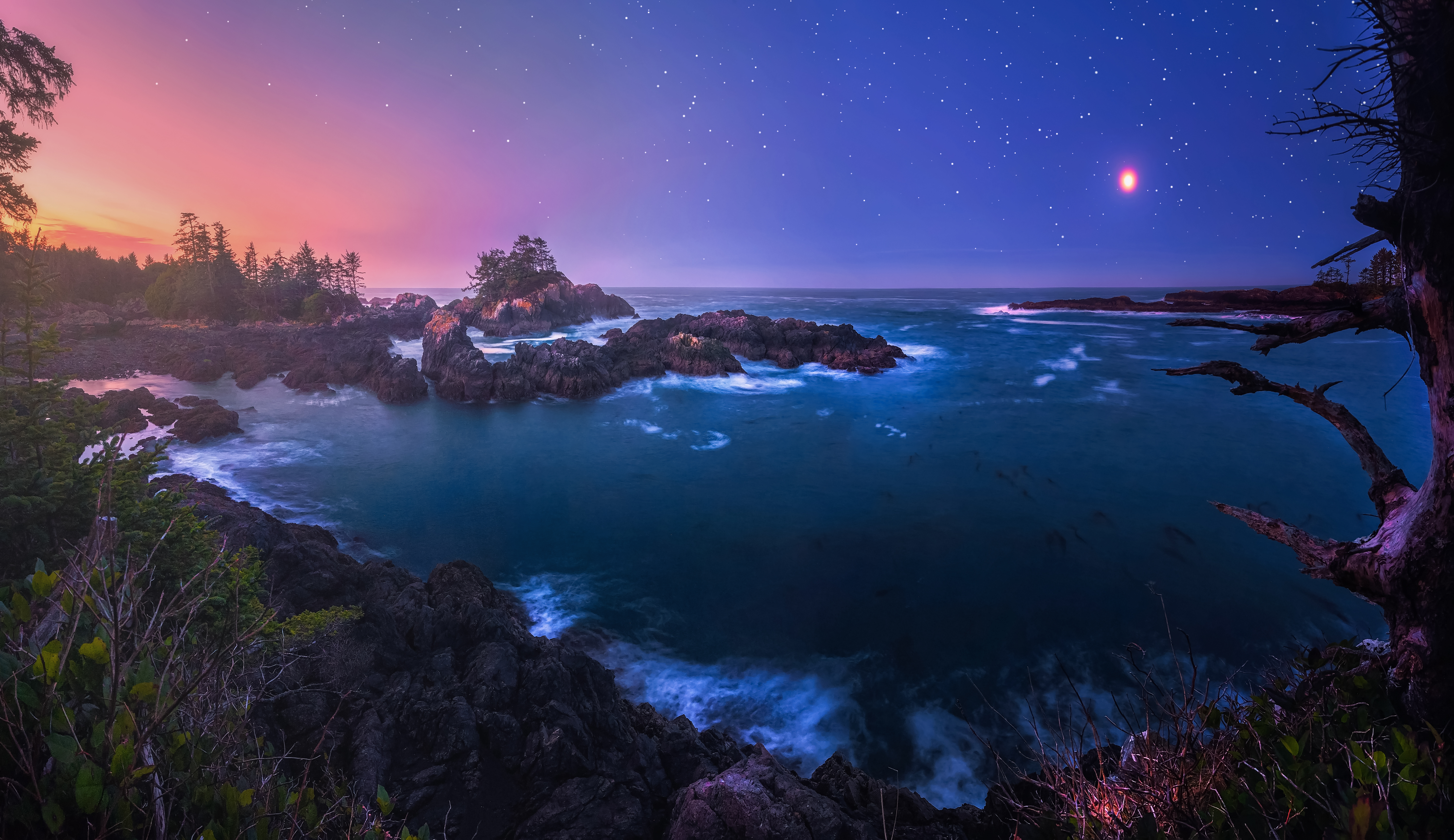 Wild Pacific Dawn