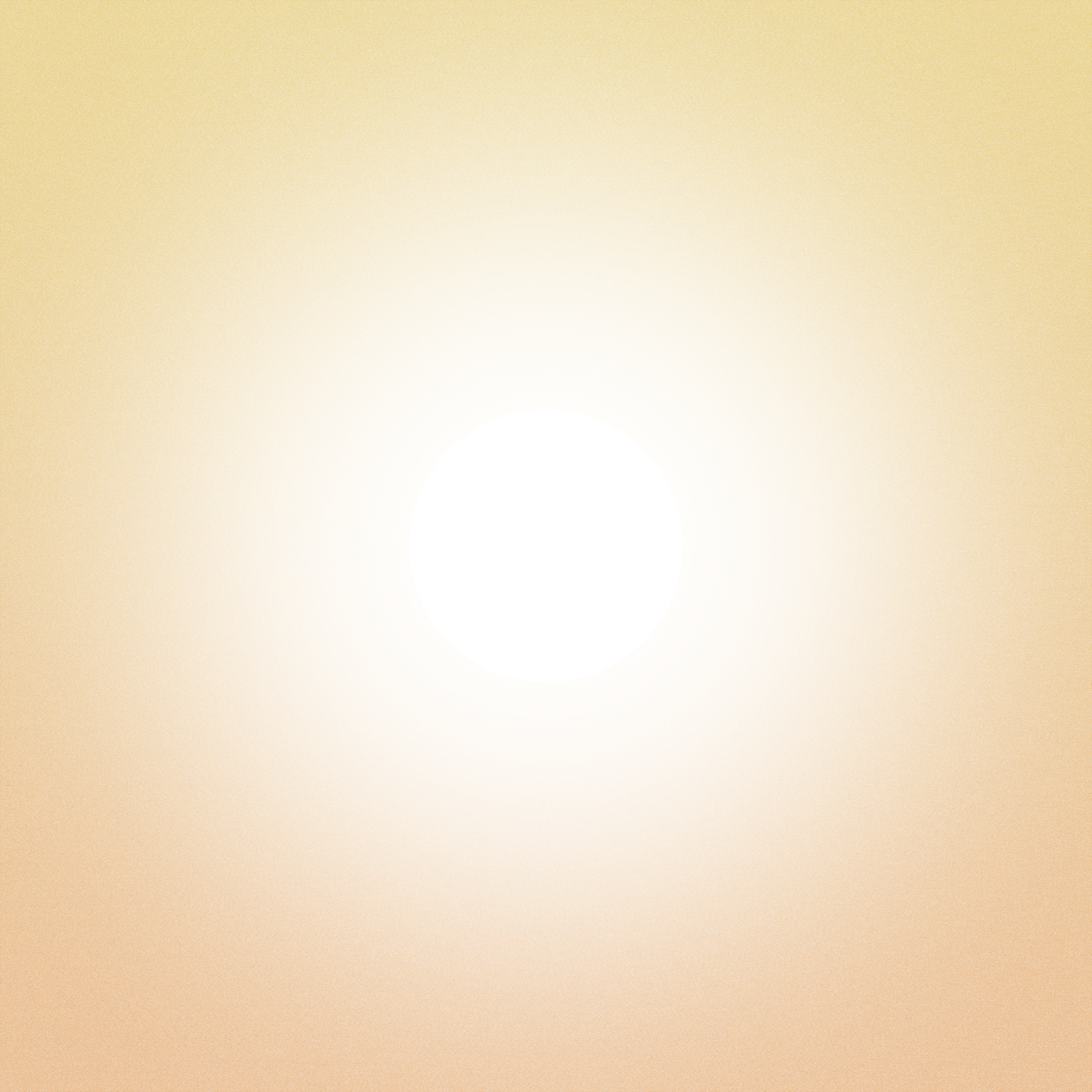with the light 82