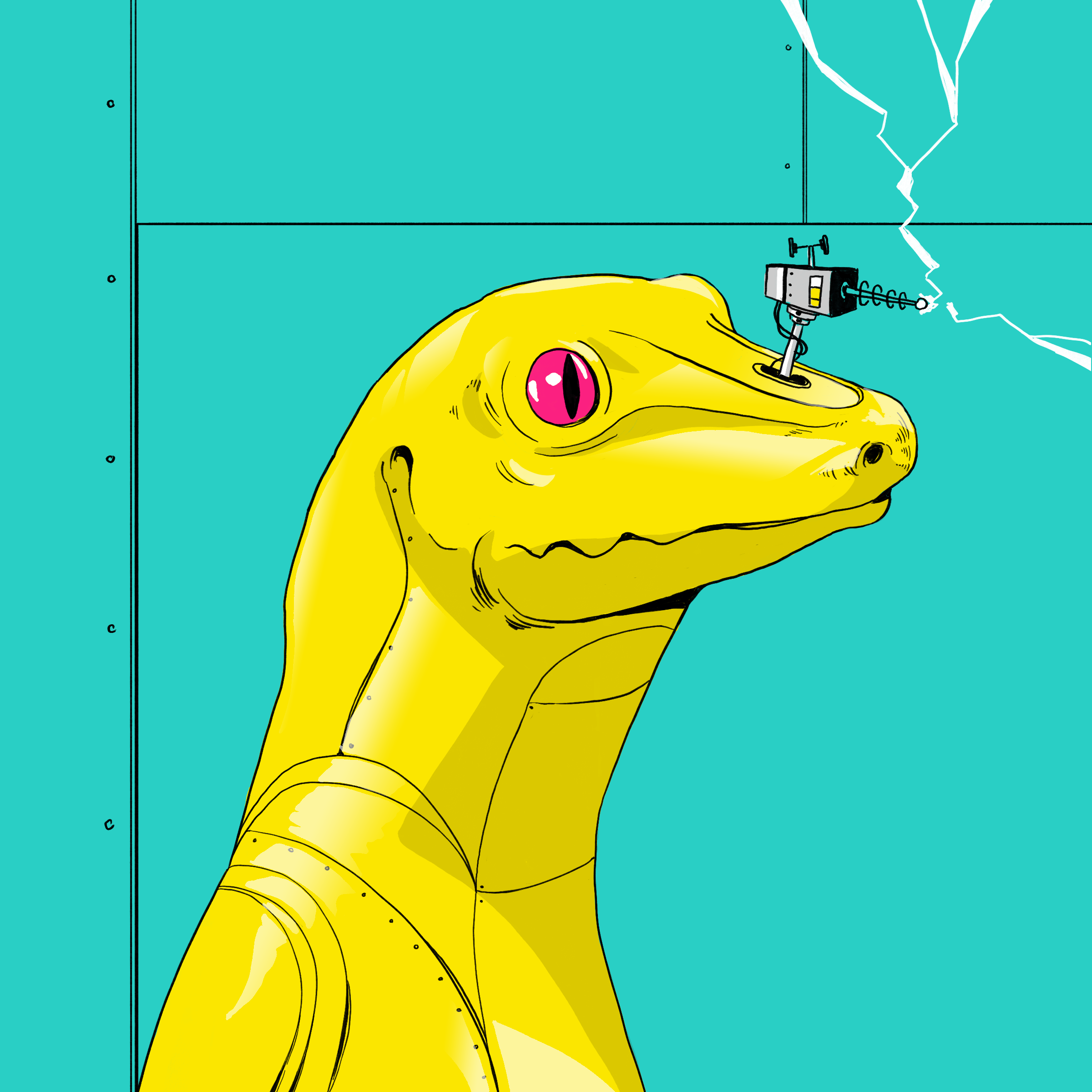 Lizard #4847