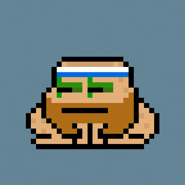Toad Punks #2711
