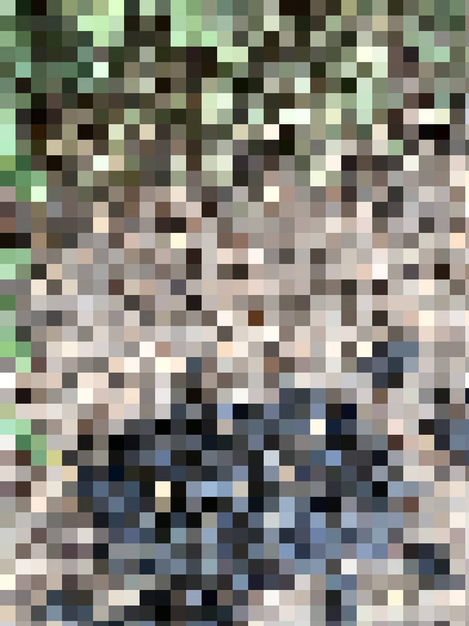 Pixelatedshit #123