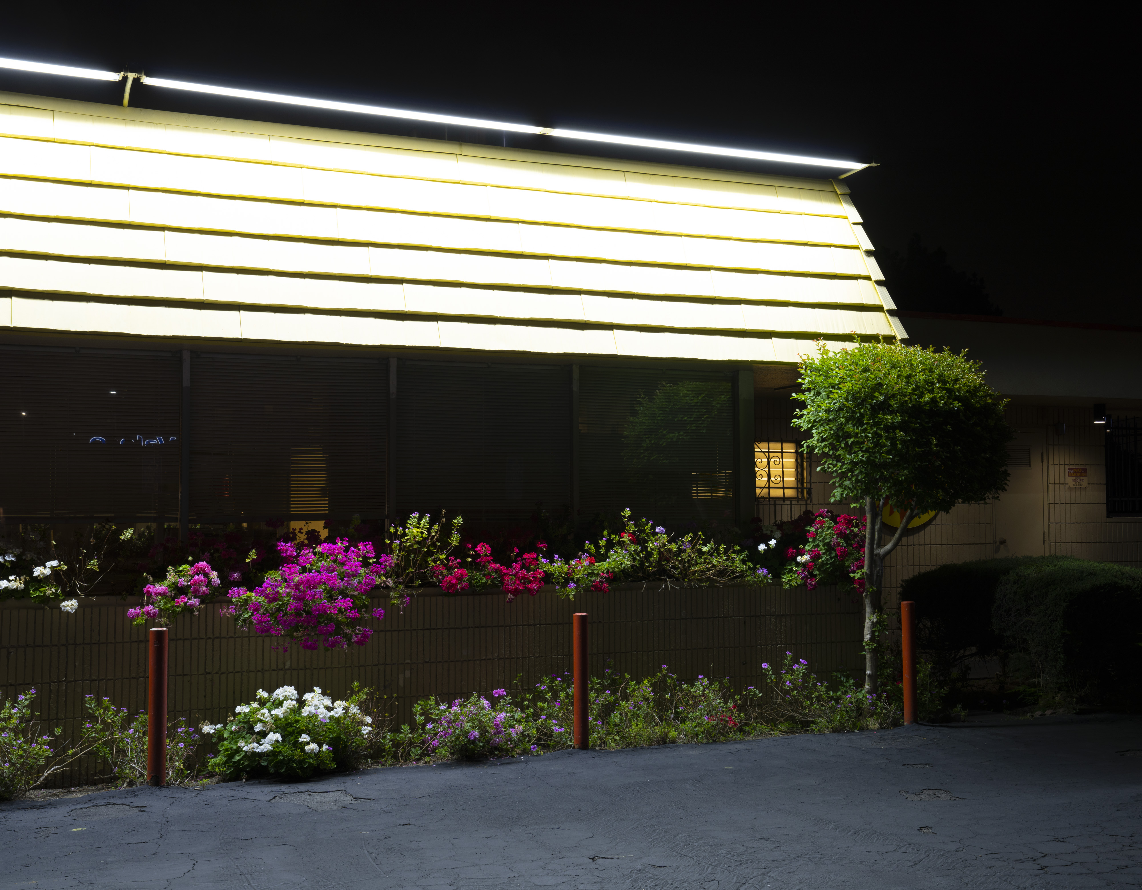 Burger Joint, Arcadia