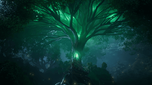 Mother Tree #10364