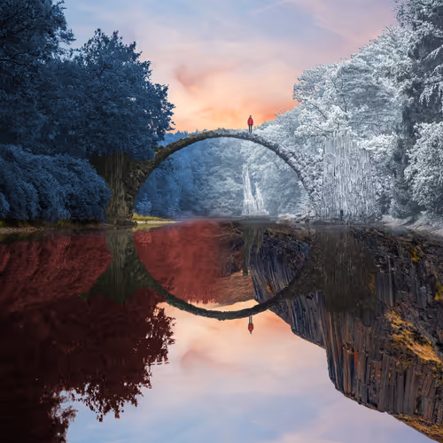 Reflection #273