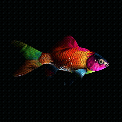 CryptoFish #2301