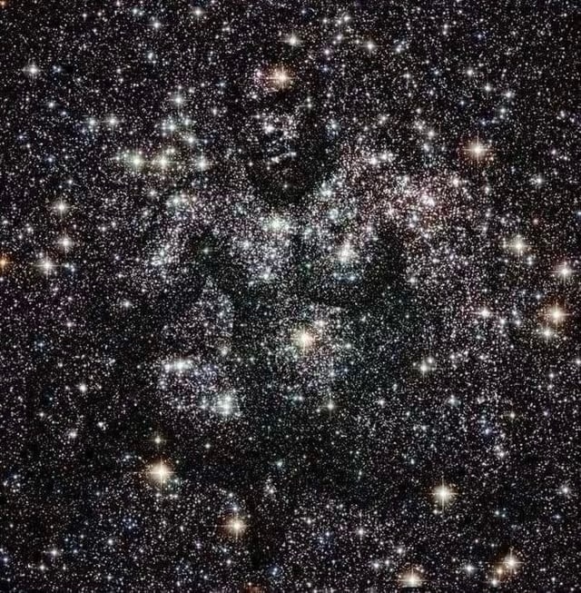 Ghost Frens