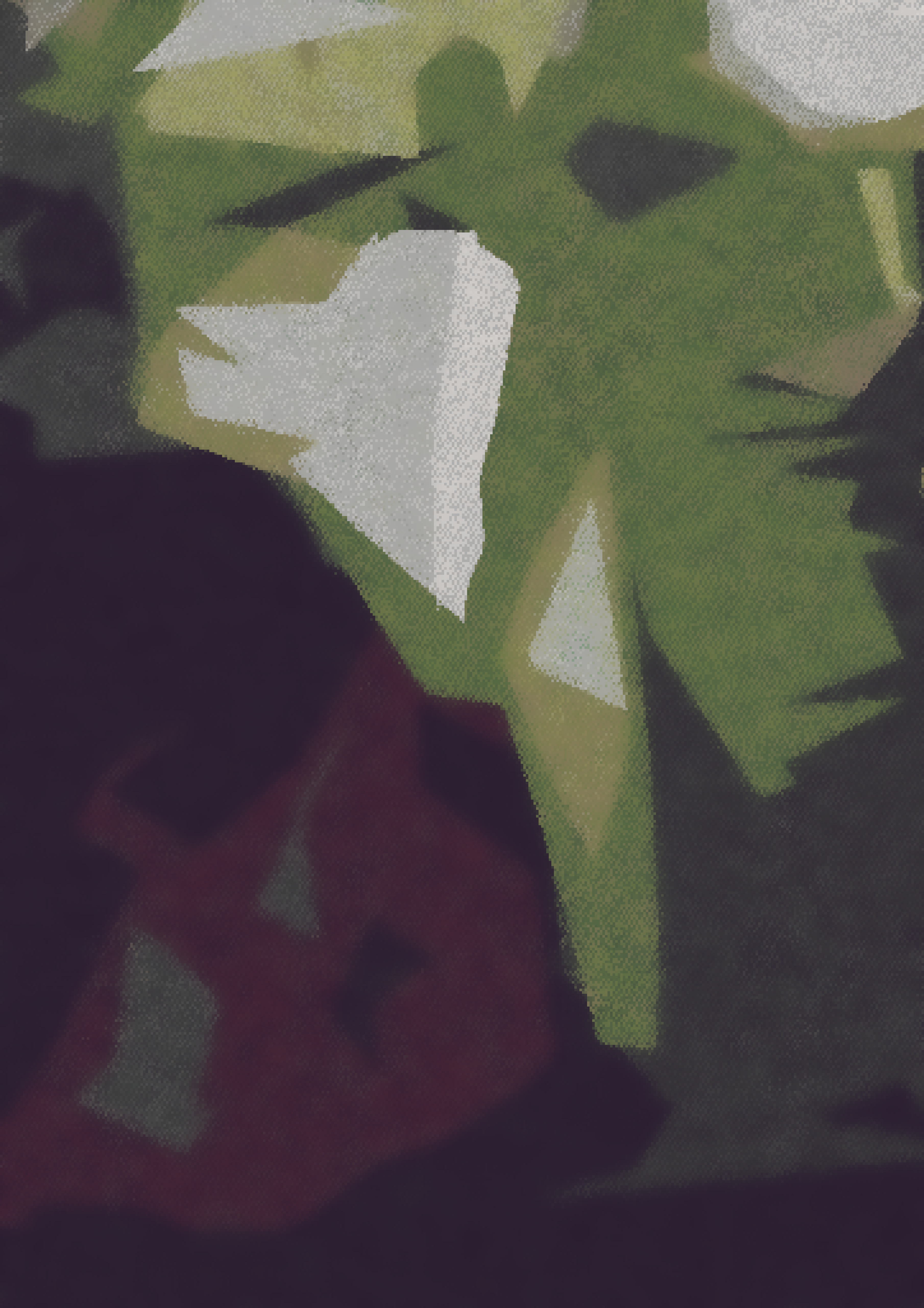 Crowds - III