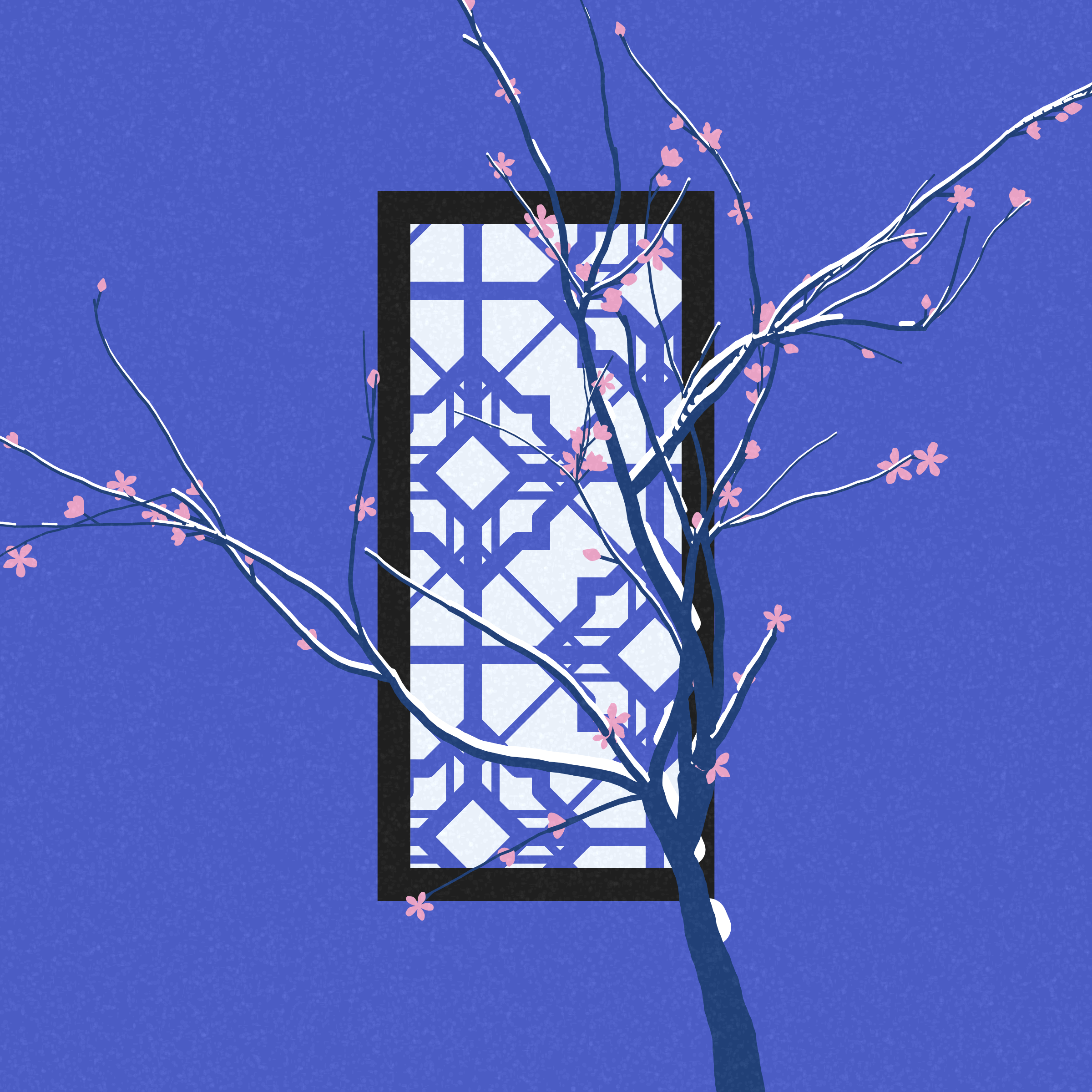 Through the Window #61
