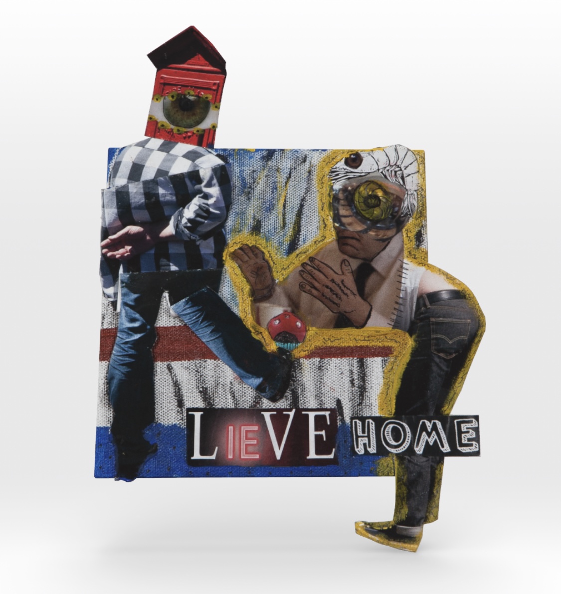 Cognition #116. Lieve Home