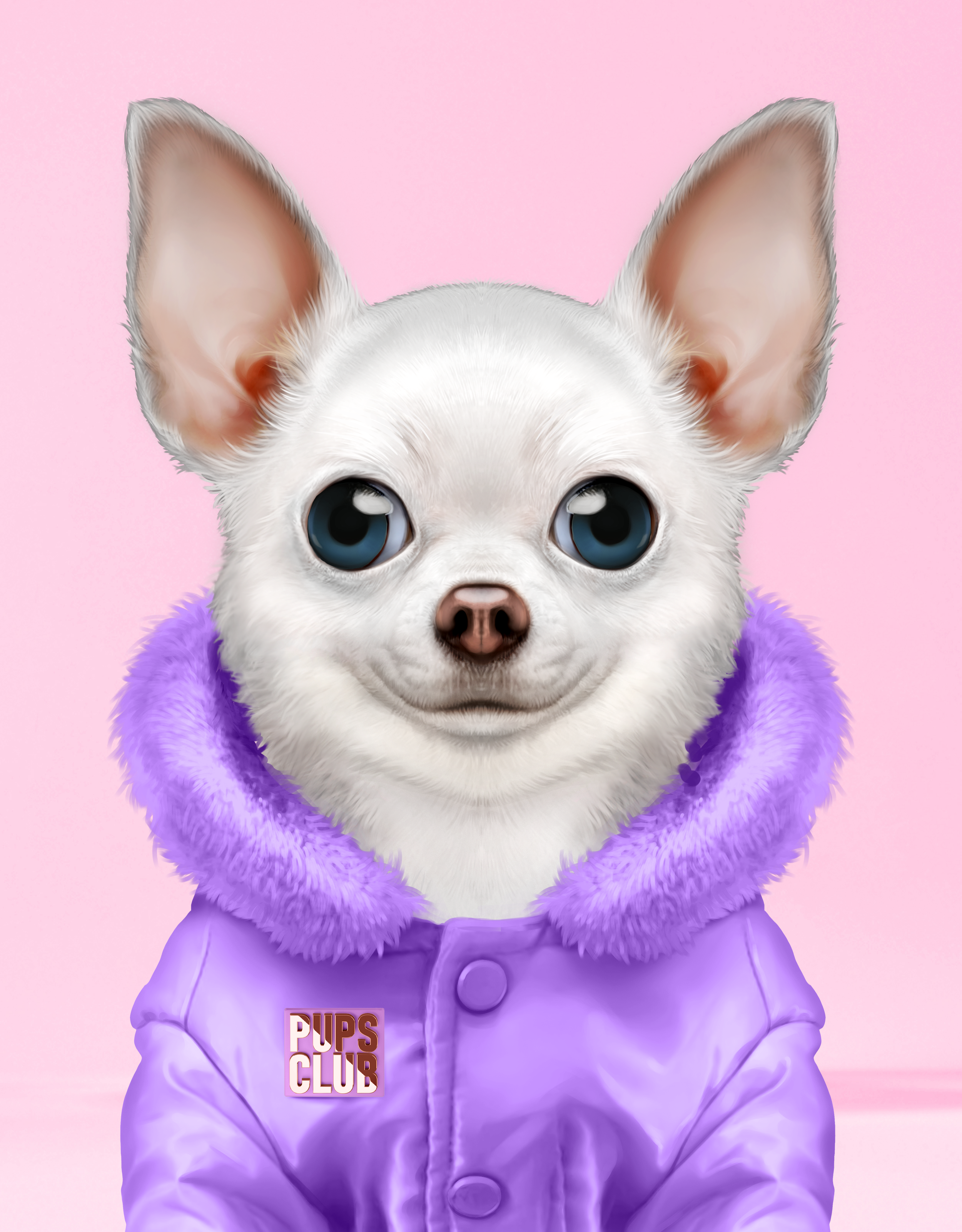 Pup #4697